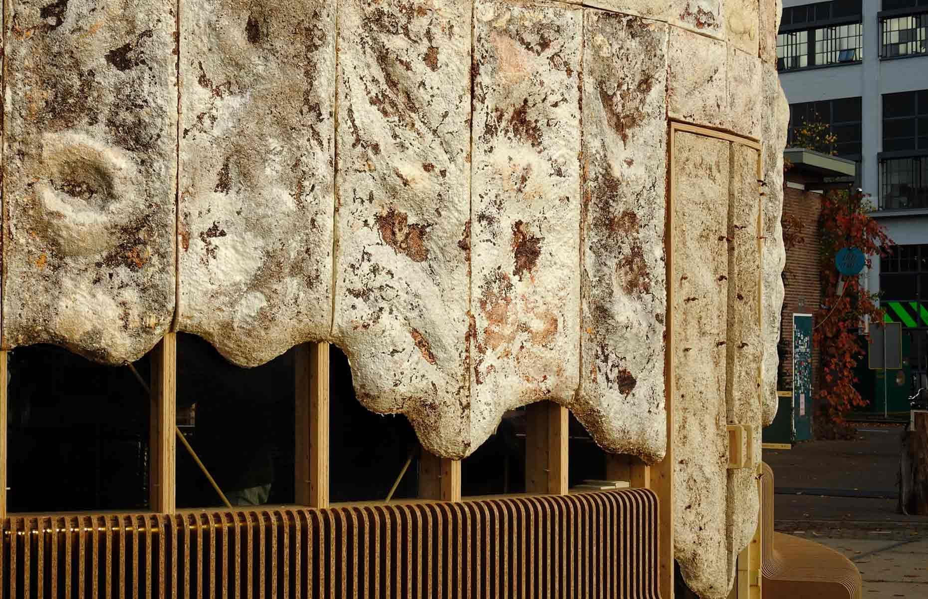 Building a home with mycelium