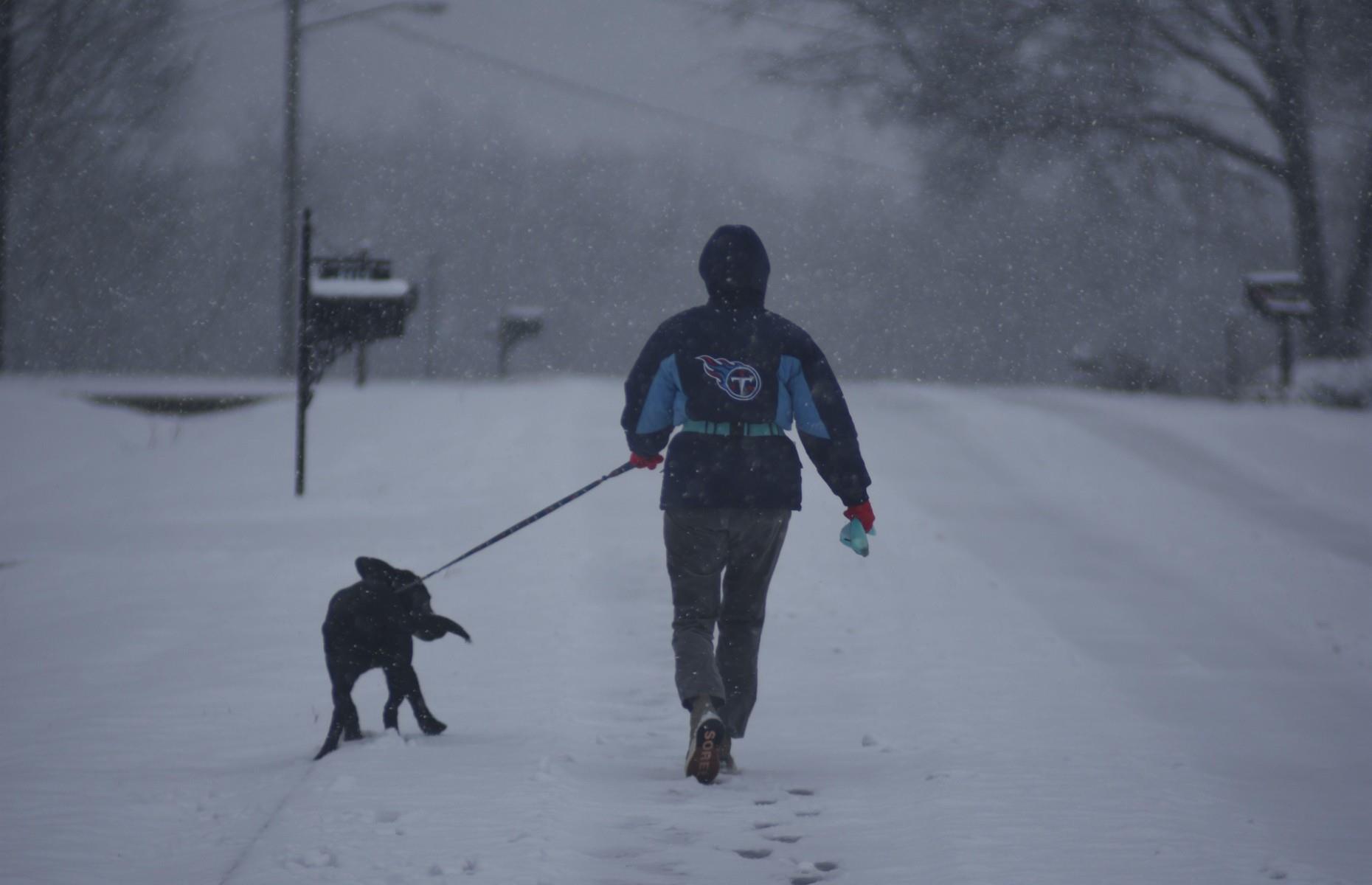 January: Winter storm Izzy, USA