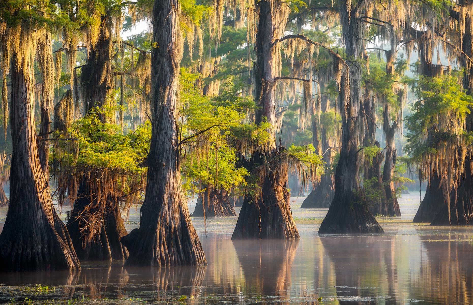 Caddo Lake, Texas
