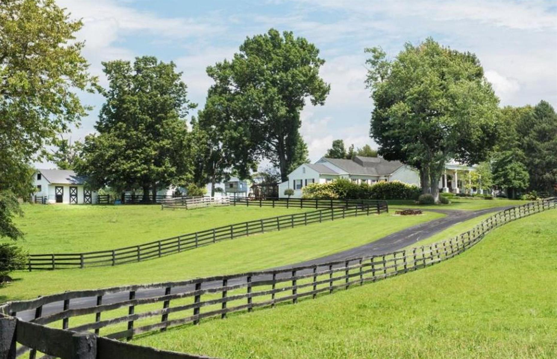 Johnny Depp's horse farm, Kentucky, USA