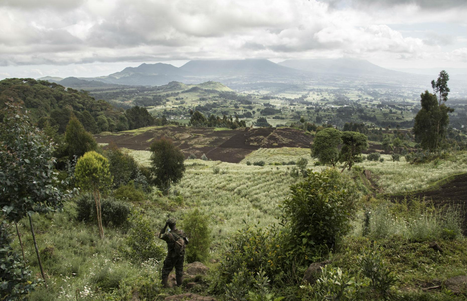 Volcanoes National Park, Rwanda