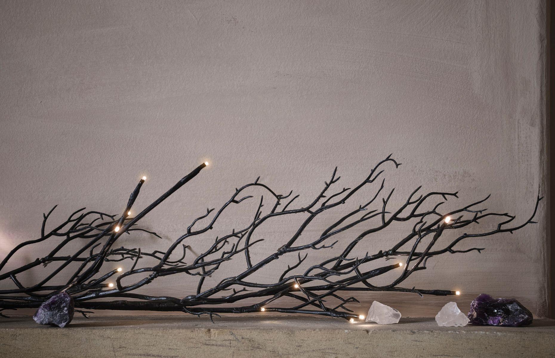 Bring in twigs and branches
