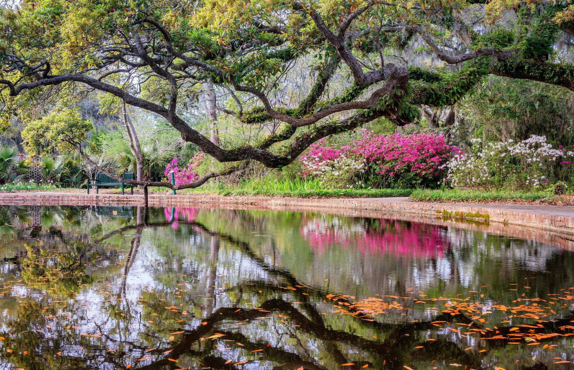South Carolina: Brookgreen Gardens, Myrtle Beach