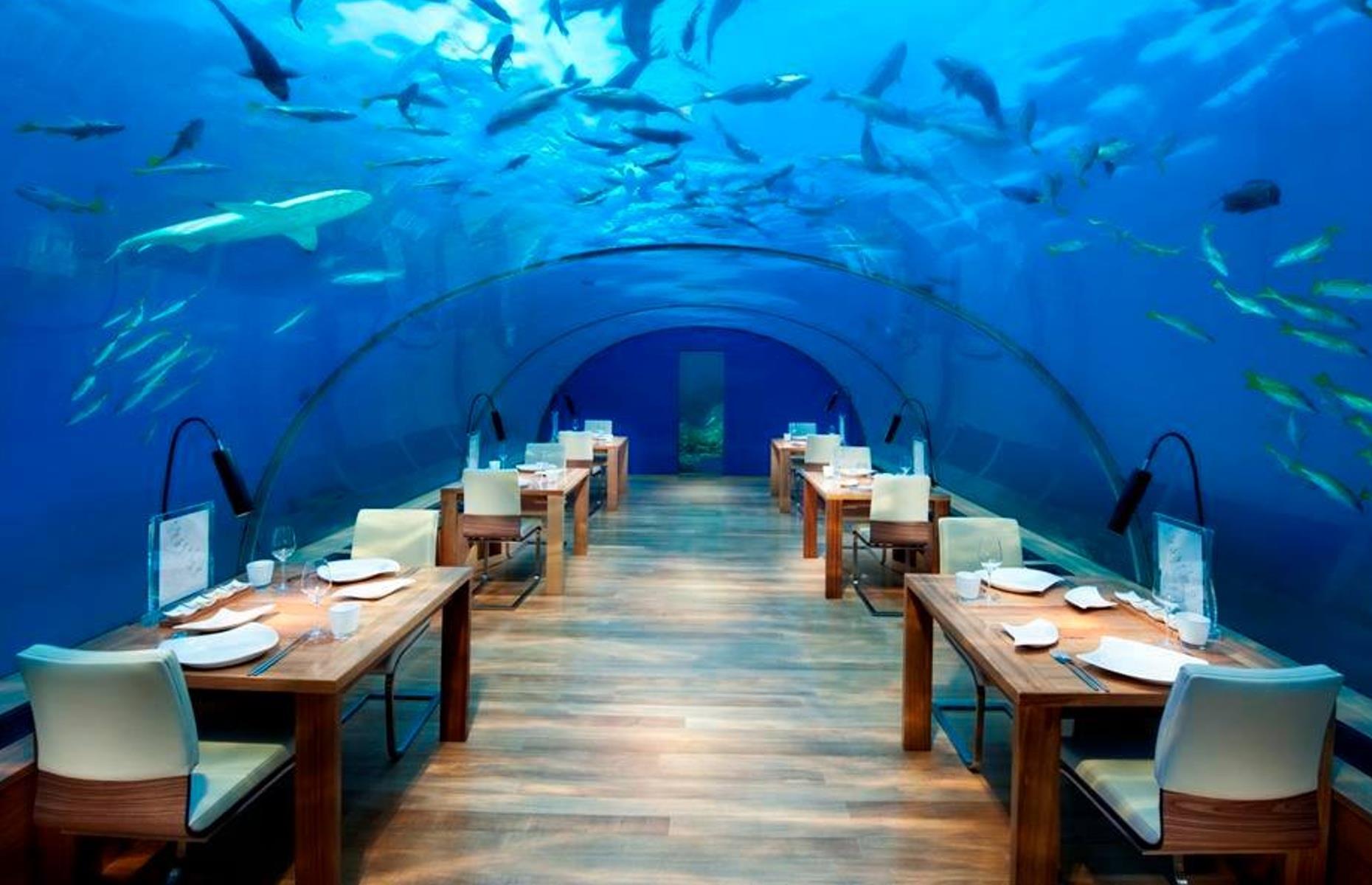 Ithaa Restaurant, Rangali Island, Maldives