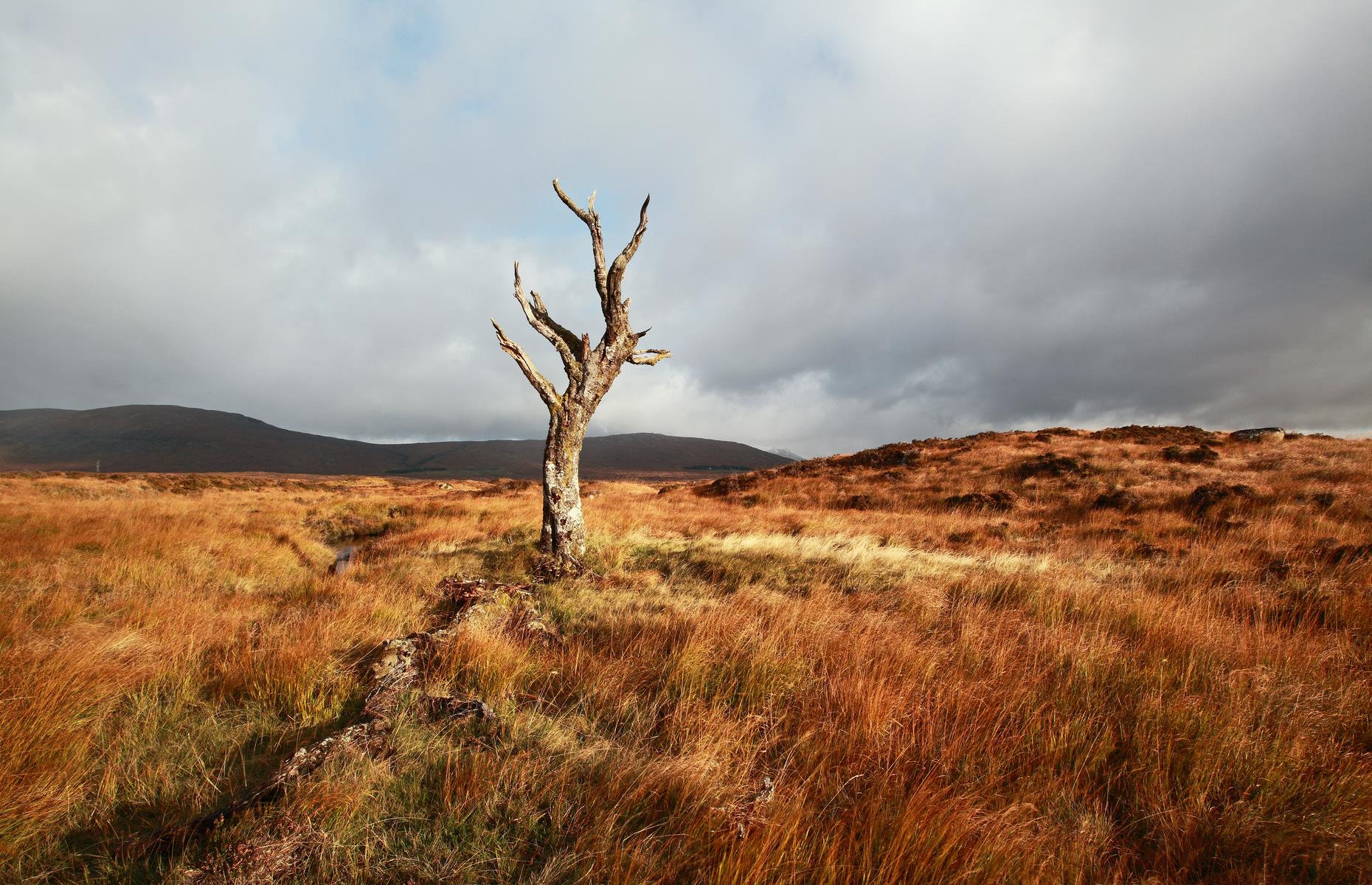 Rannoch Moor, Perthshire, Scotland