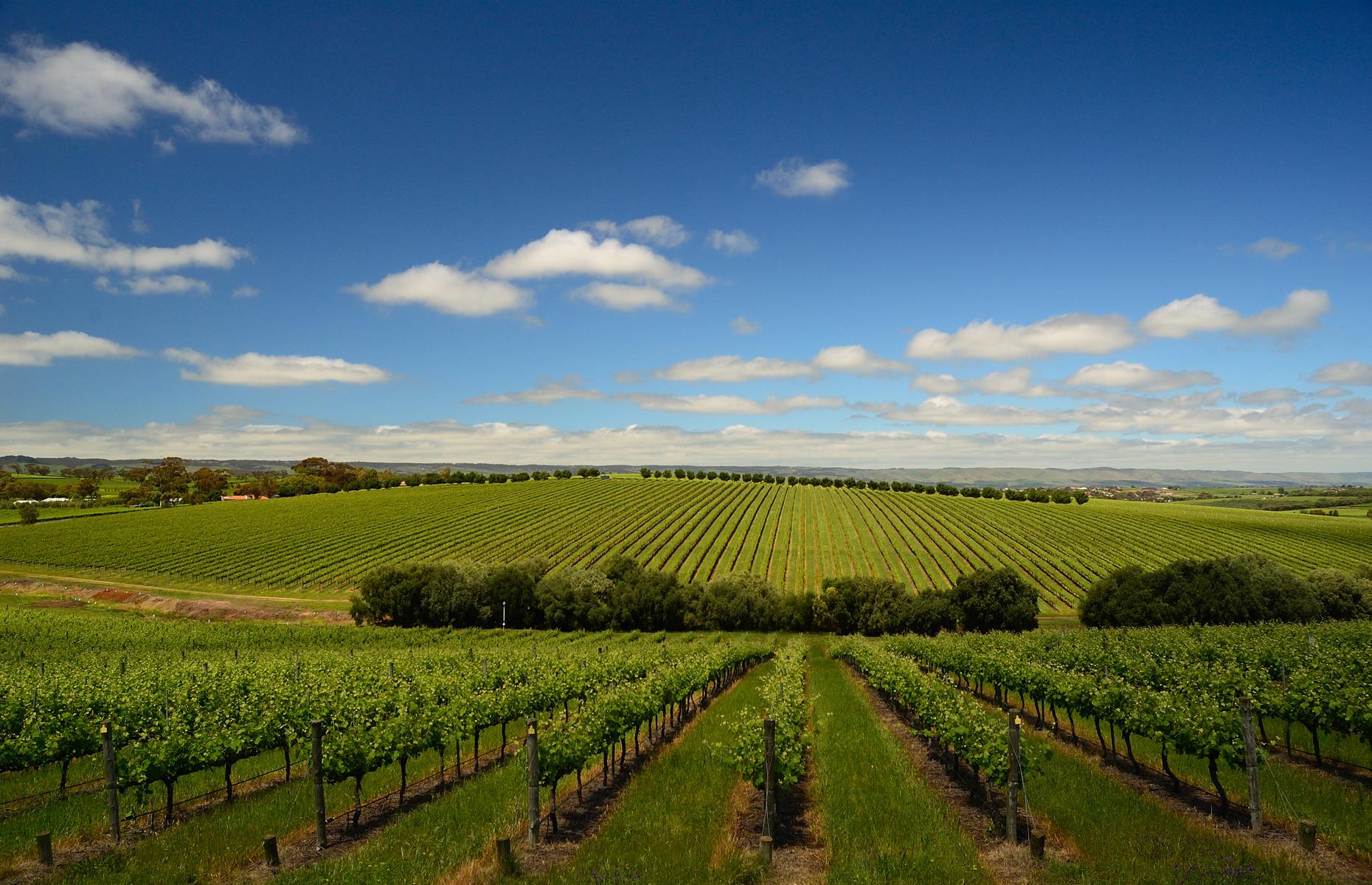 McLaren Vale to Kangaroo Island, South Australia