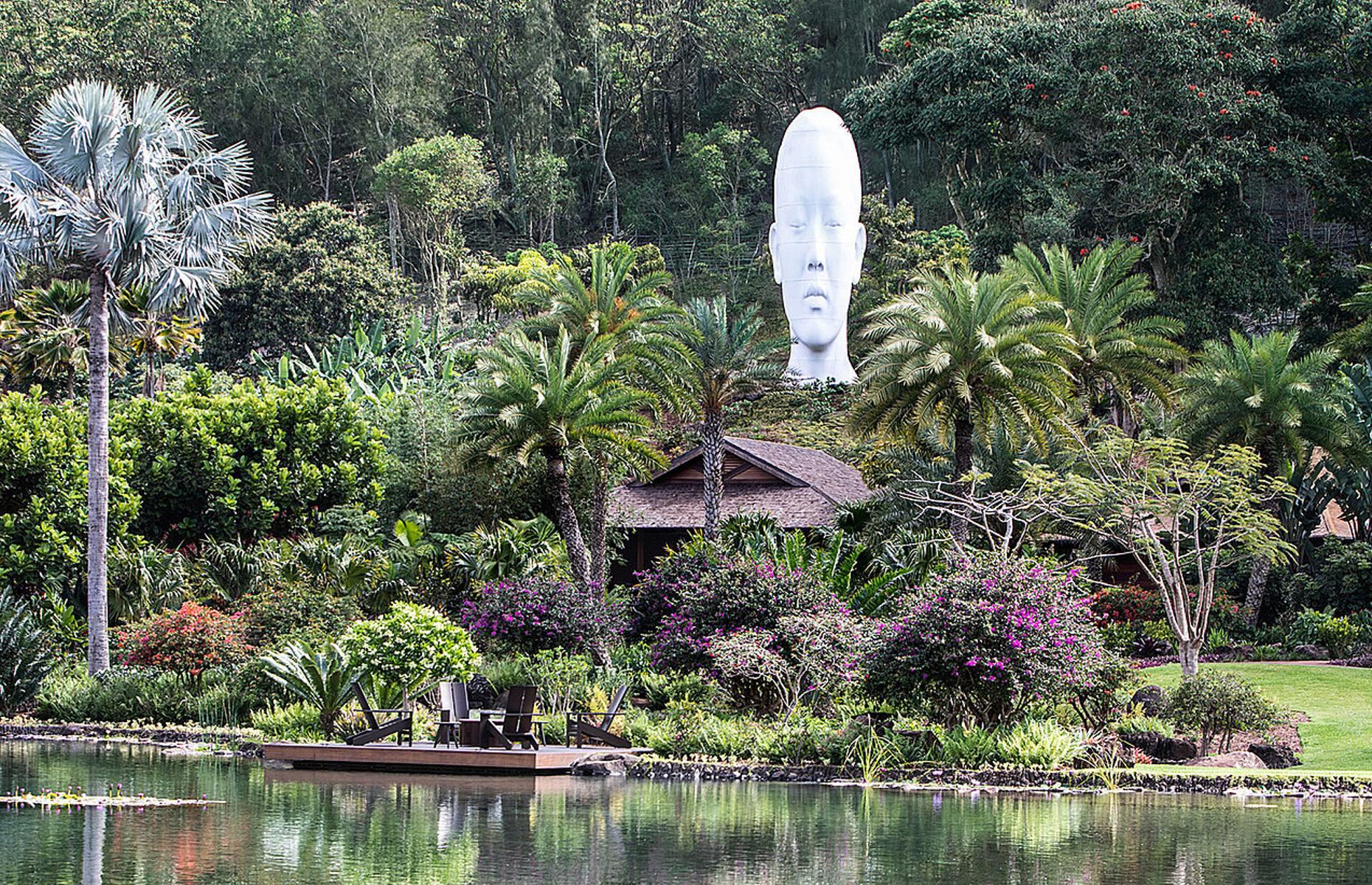  Lanai – Larry Ellison 