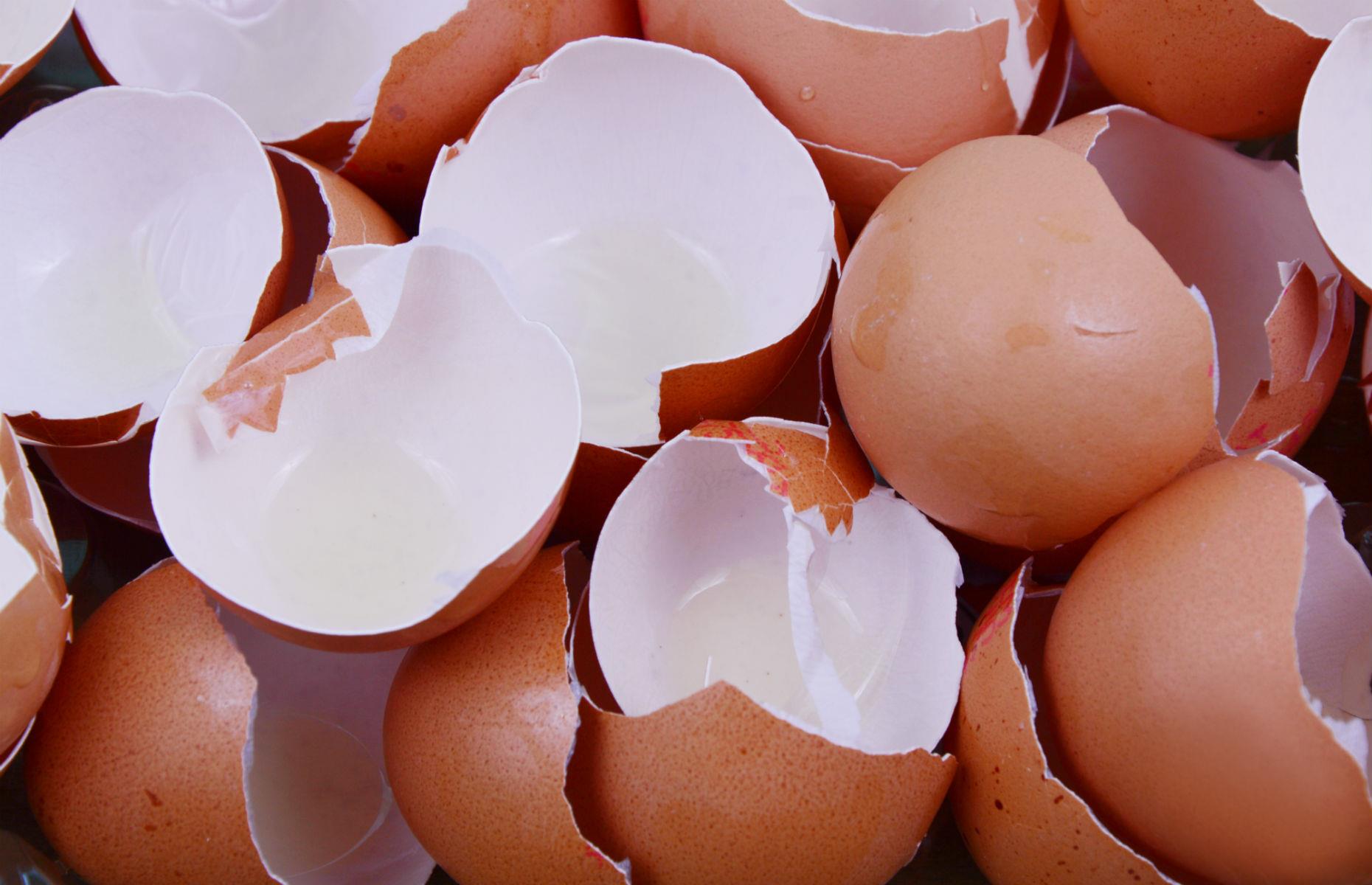 Eggshells