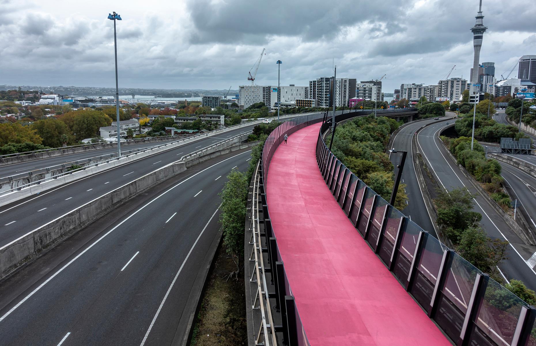 During: Auckland, New Zealand