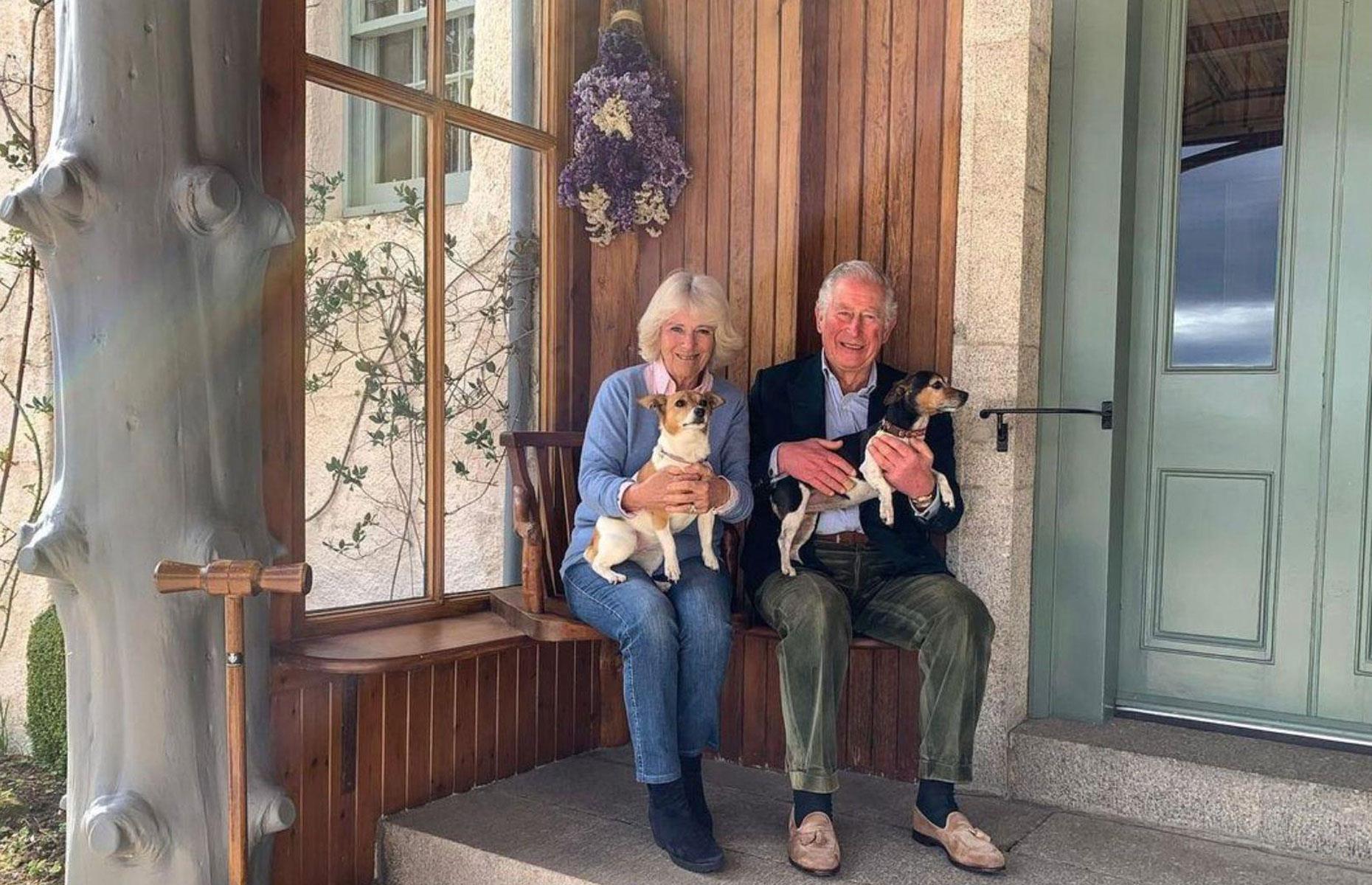 King Charles' canine companions