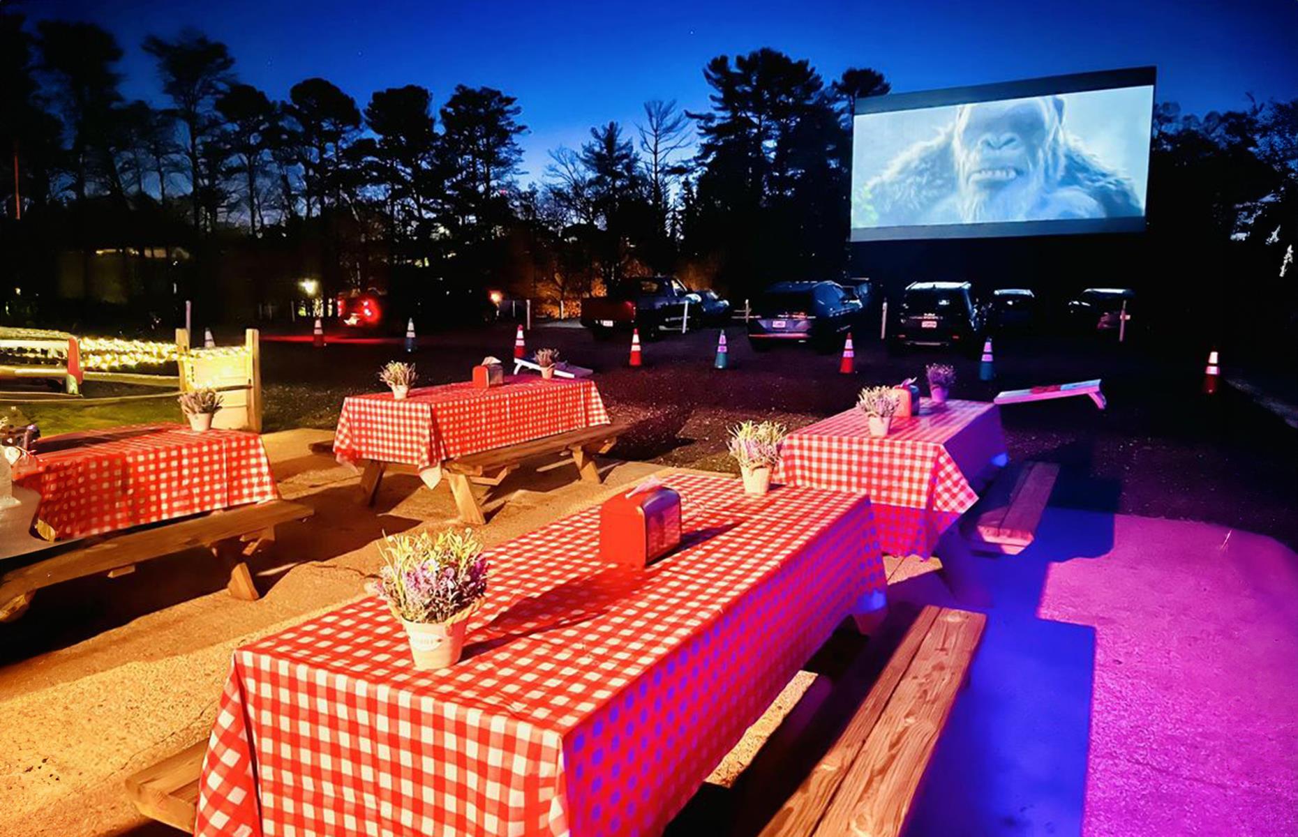 5. Swan Drive-In Theater & Diner, Blue Ridge, Georgia