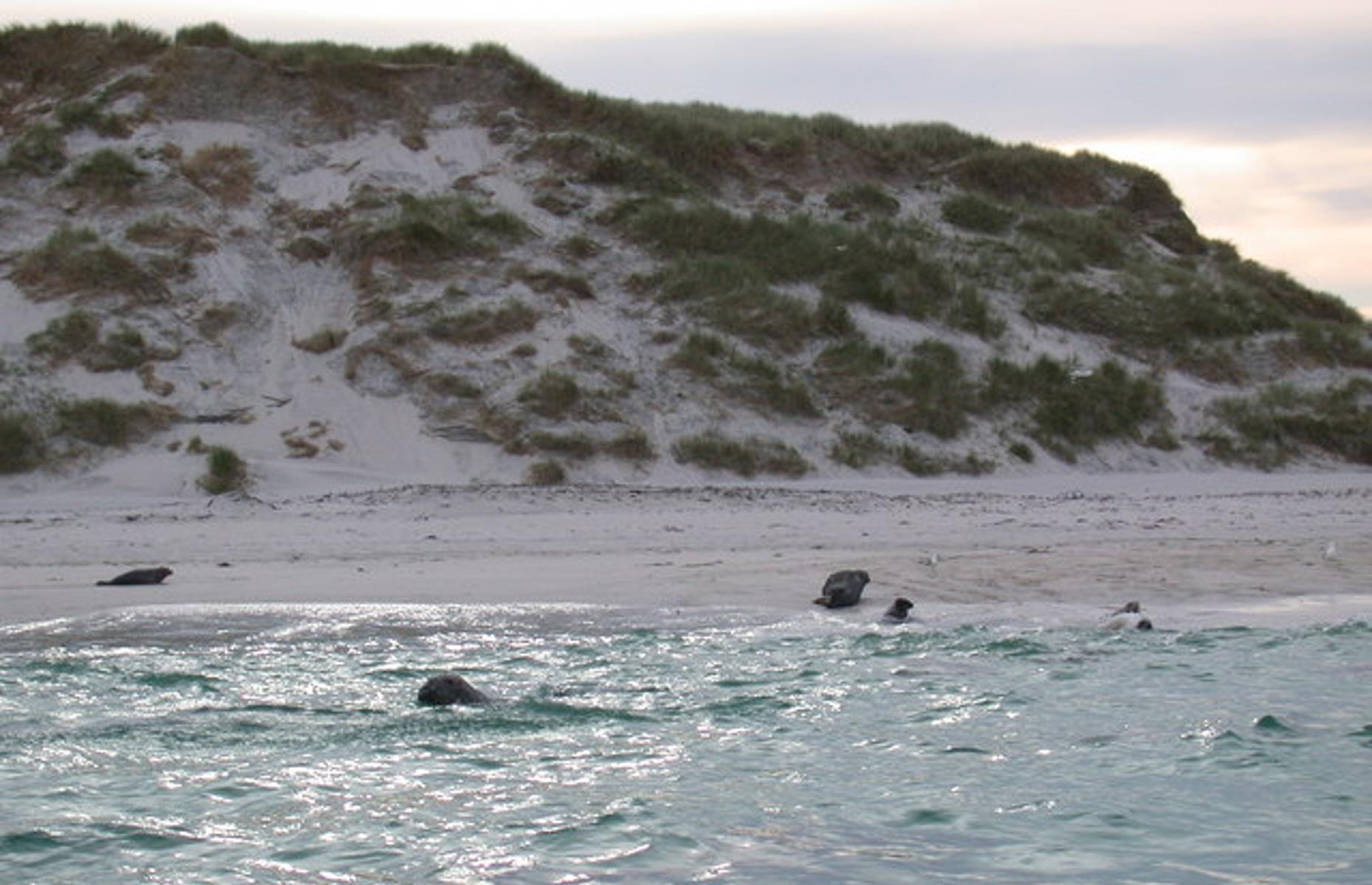 October: The Monach Isles, Western Isles