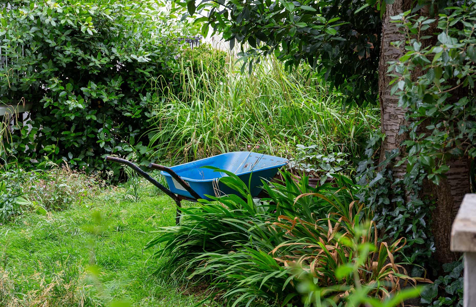 Spruce up the garden