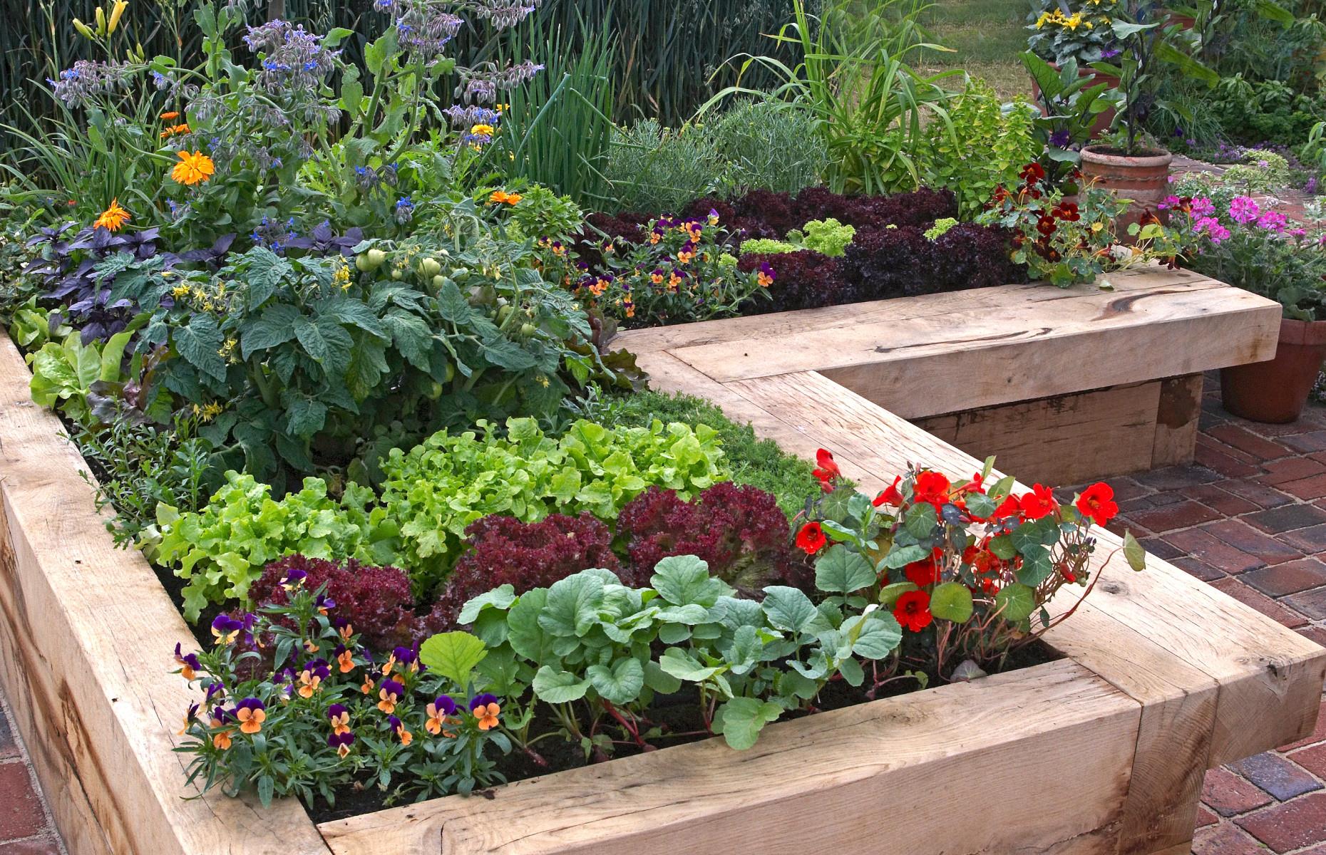 Pick edible plants that flower