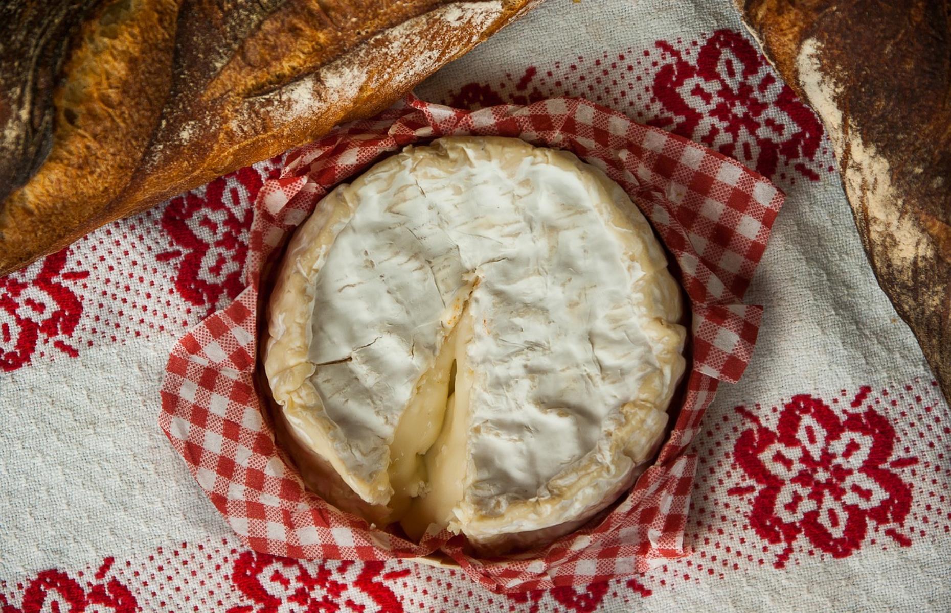 Cheese