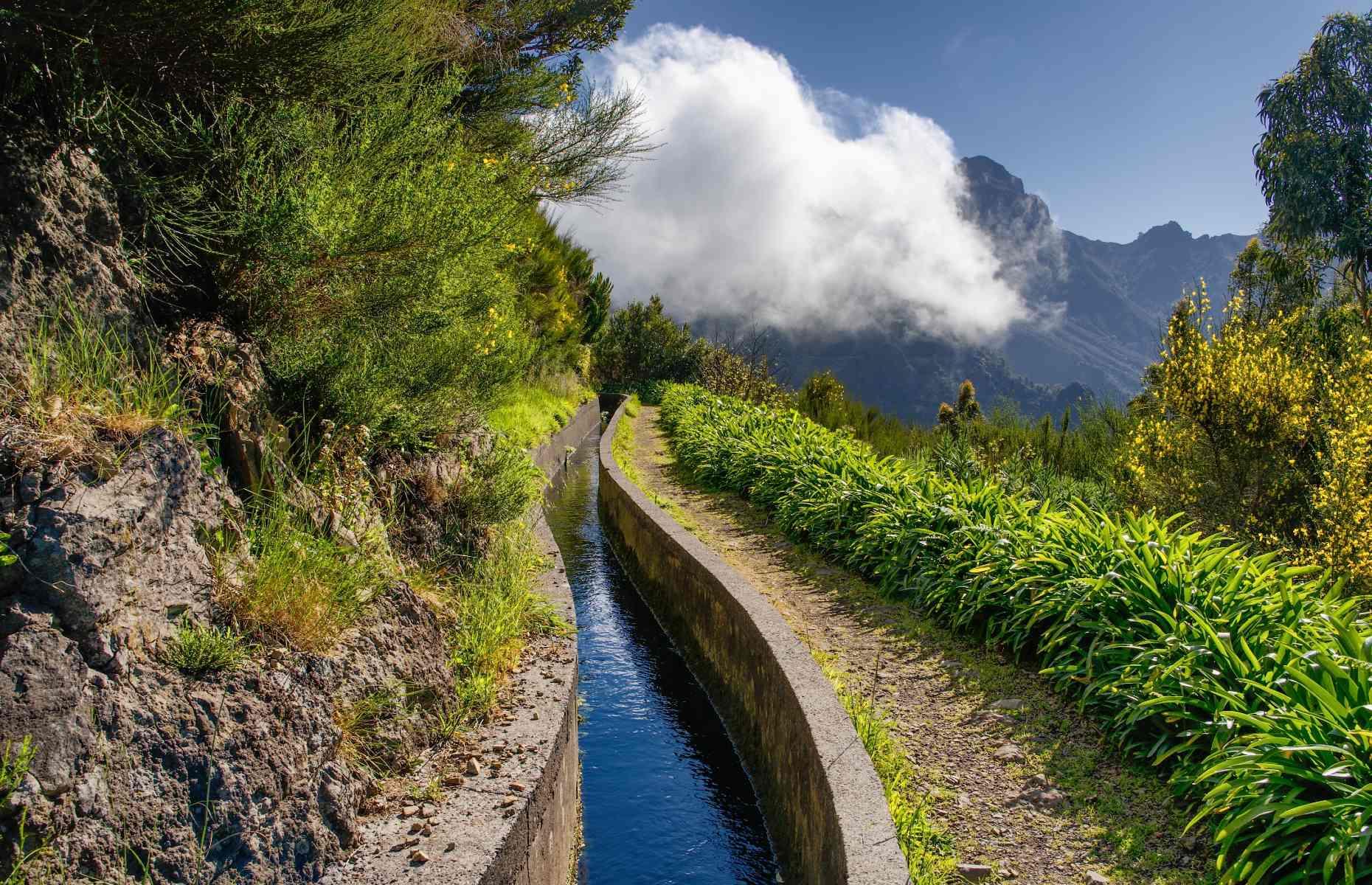 Wander UNESCO-listed woodland in Madeira, Portugal