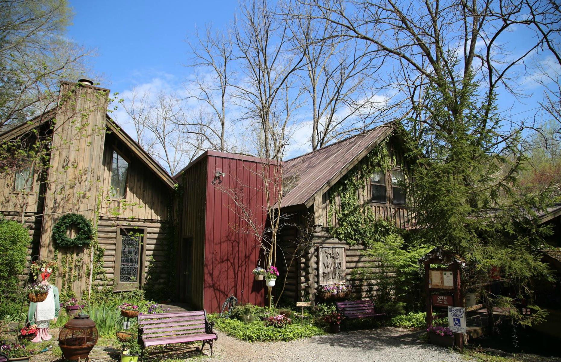 Tennessee: Wild Plum Tea Room, Gatlinburg