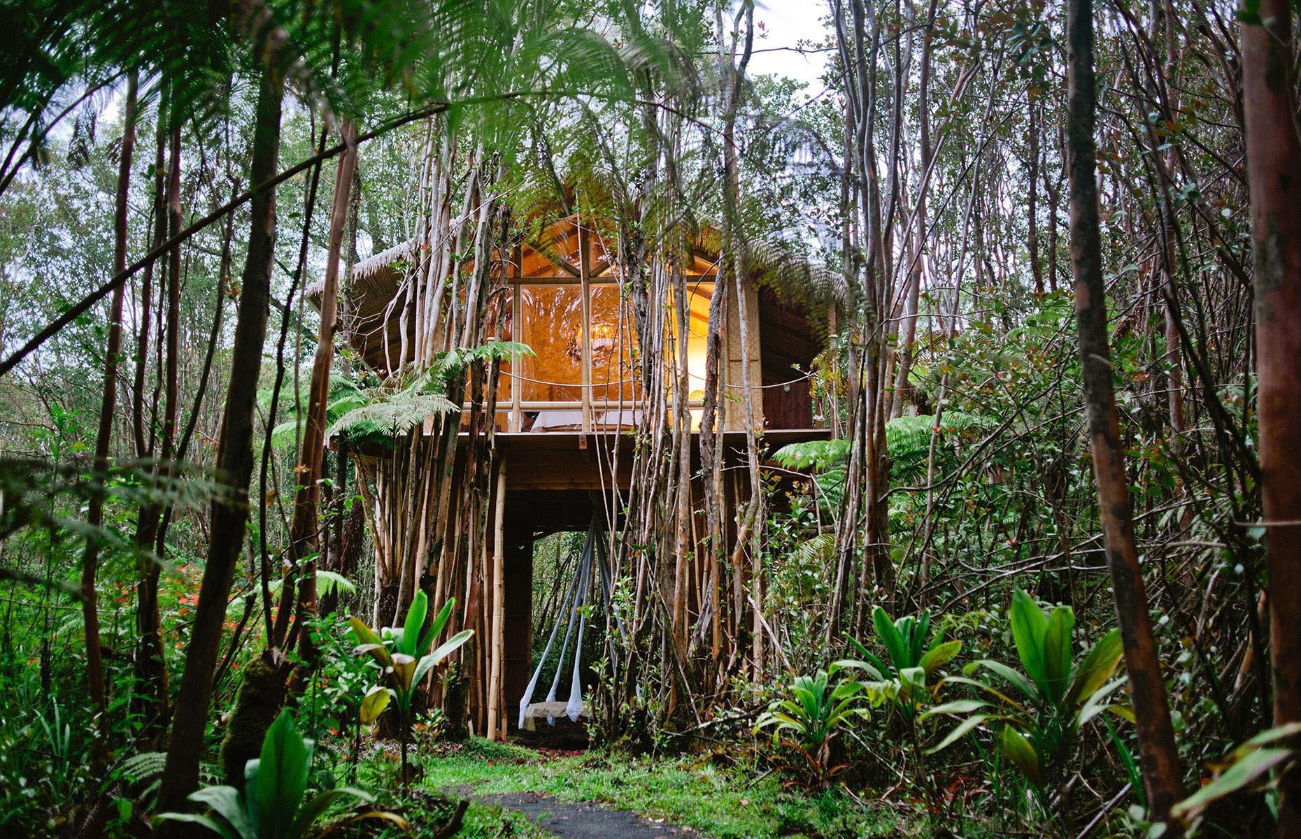 Tropical treehouse, Fern Forest, Hawaii