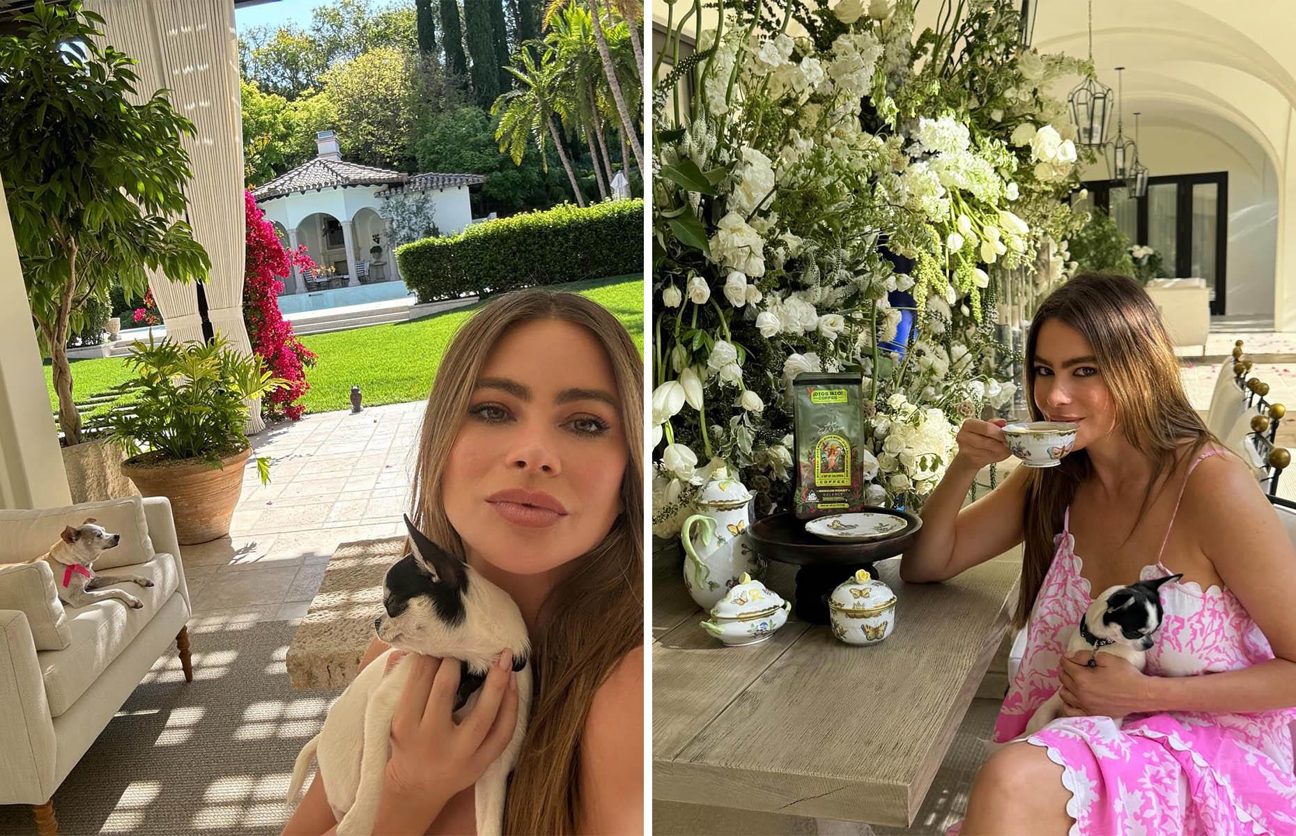 Sofía Vergara's Beverly Hills home: a tropical backyard