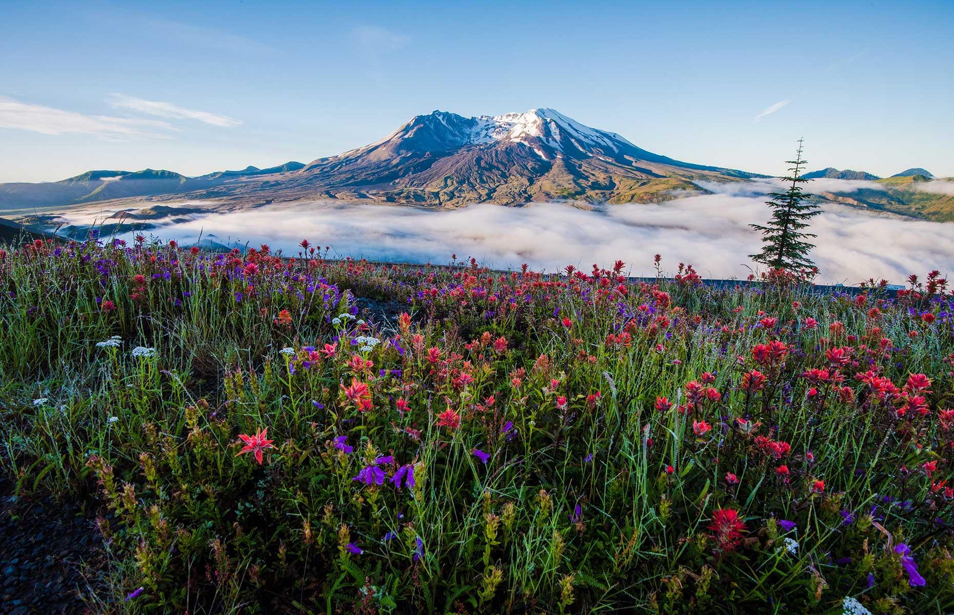 Mount St Helens, Washington