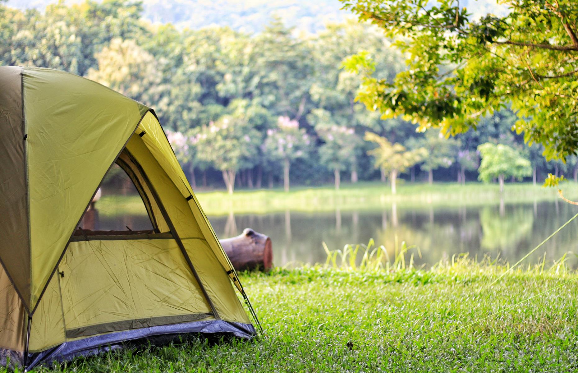 Staycations: closer to home