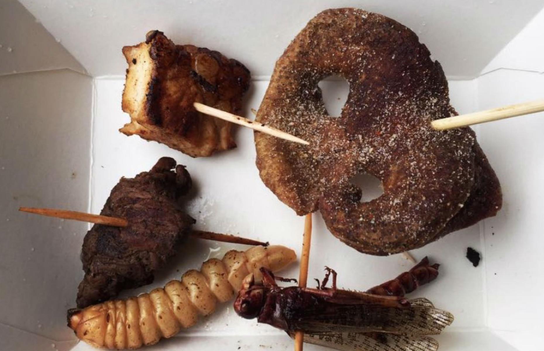 Wildfoods Festival, New Zealand
