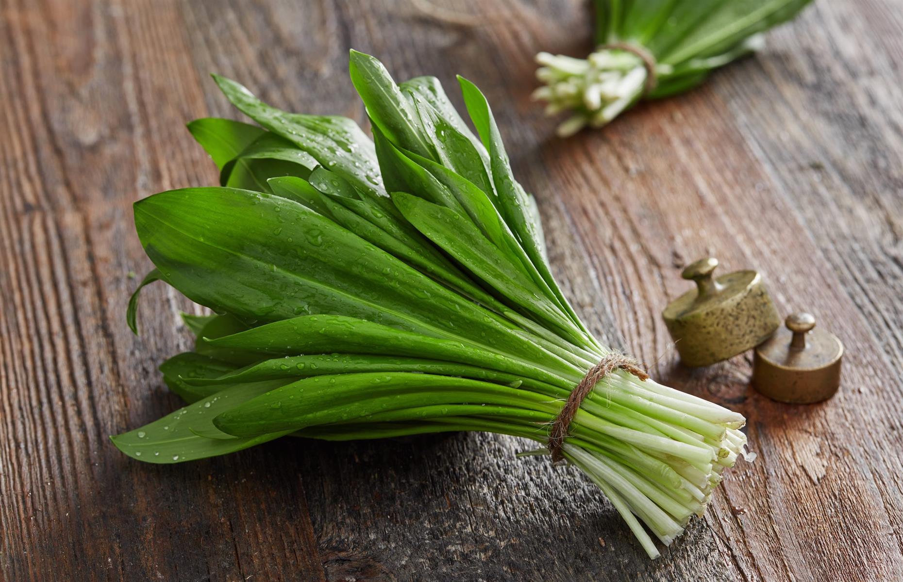 4. Wild backyard ingredients