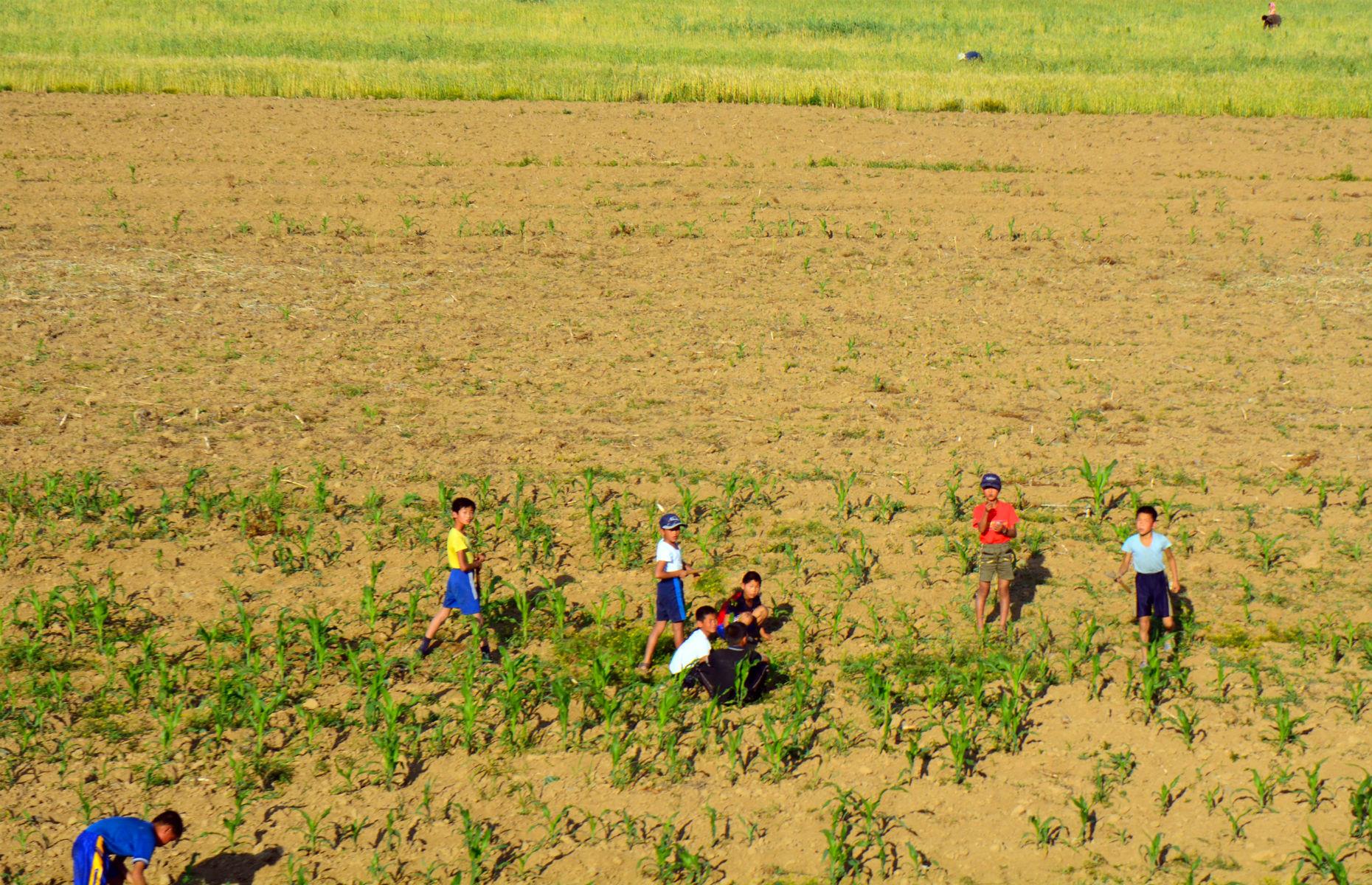 Memories of a famine