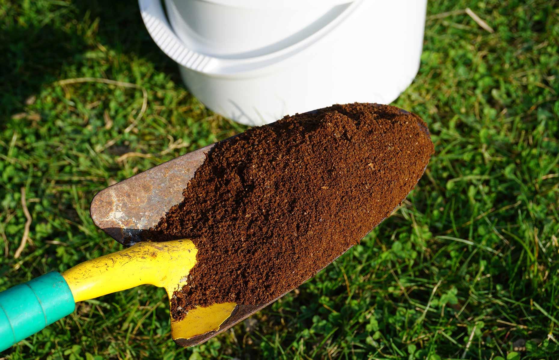 Fertilise your lawn