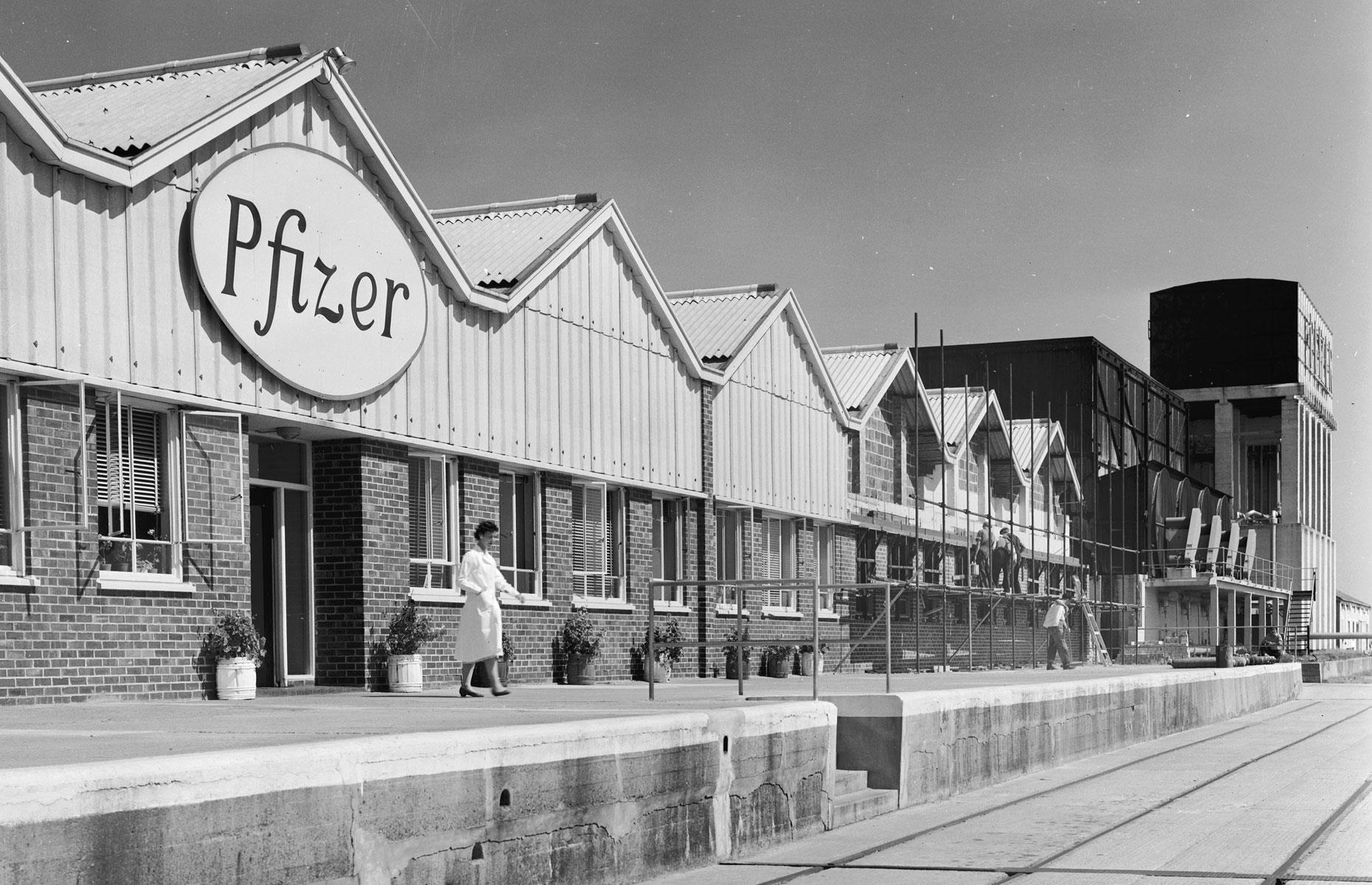 1942 – Pfizer: $1,000 invested then is worth $6.1 million (£4.6m) + dividends today