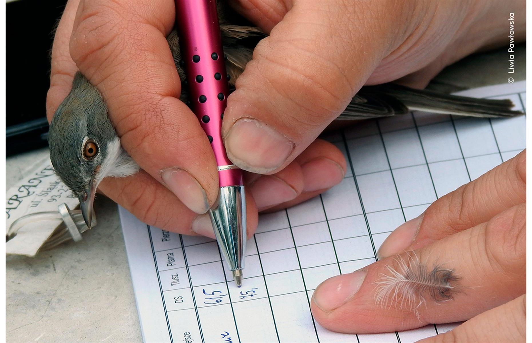 Recording by Hand