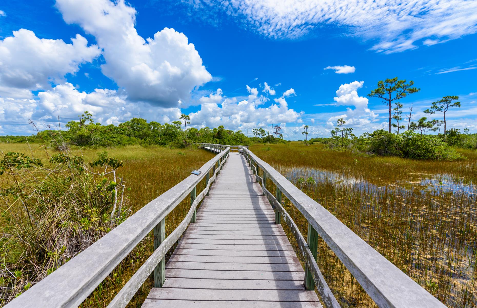 Everglades National Park, Florida