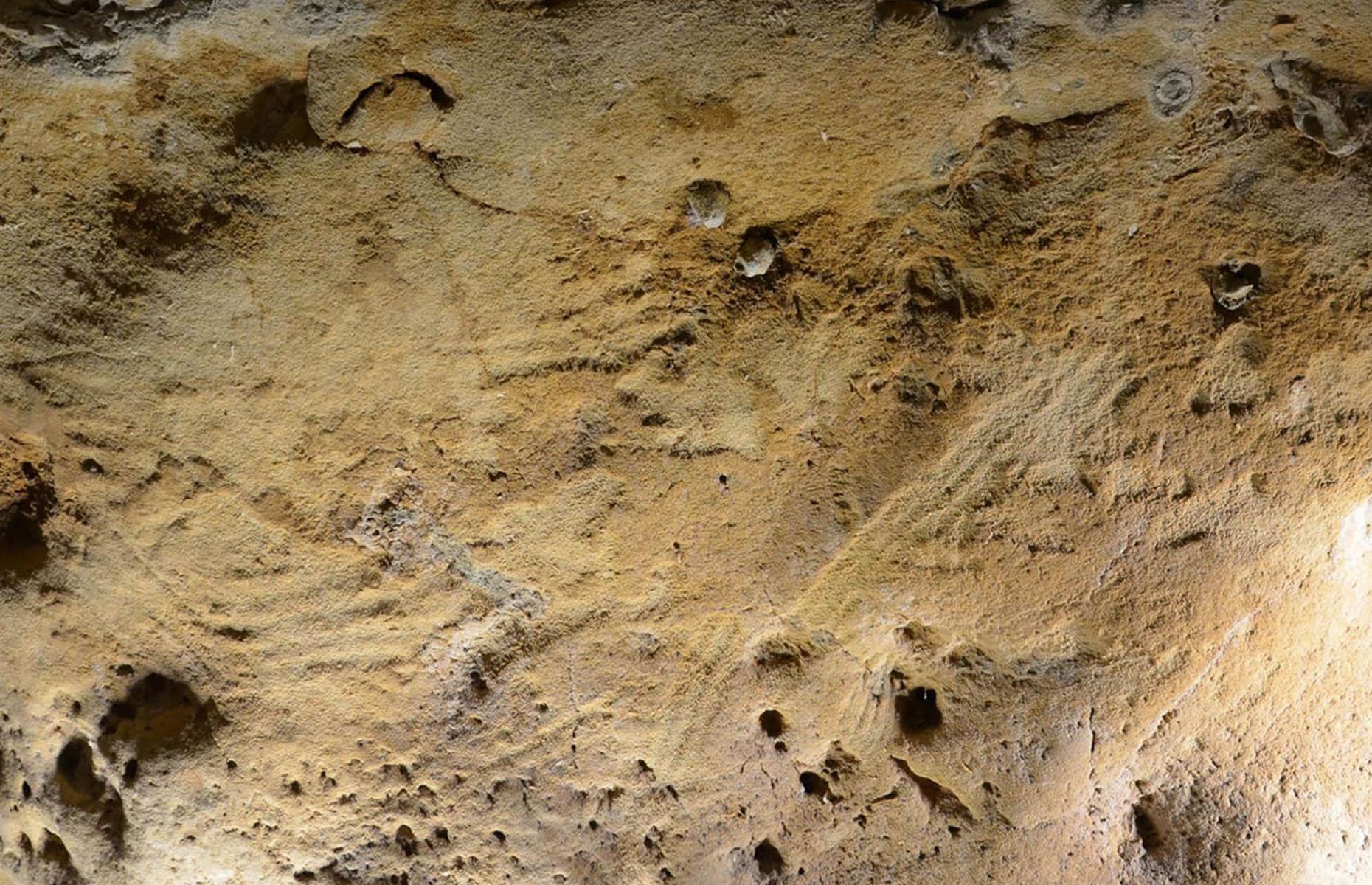 13. Oldest known Neanderthal engravings, France