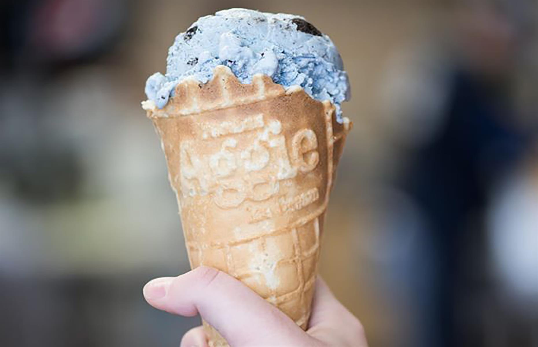 Utah: Aggie Ice Cream, Logan
