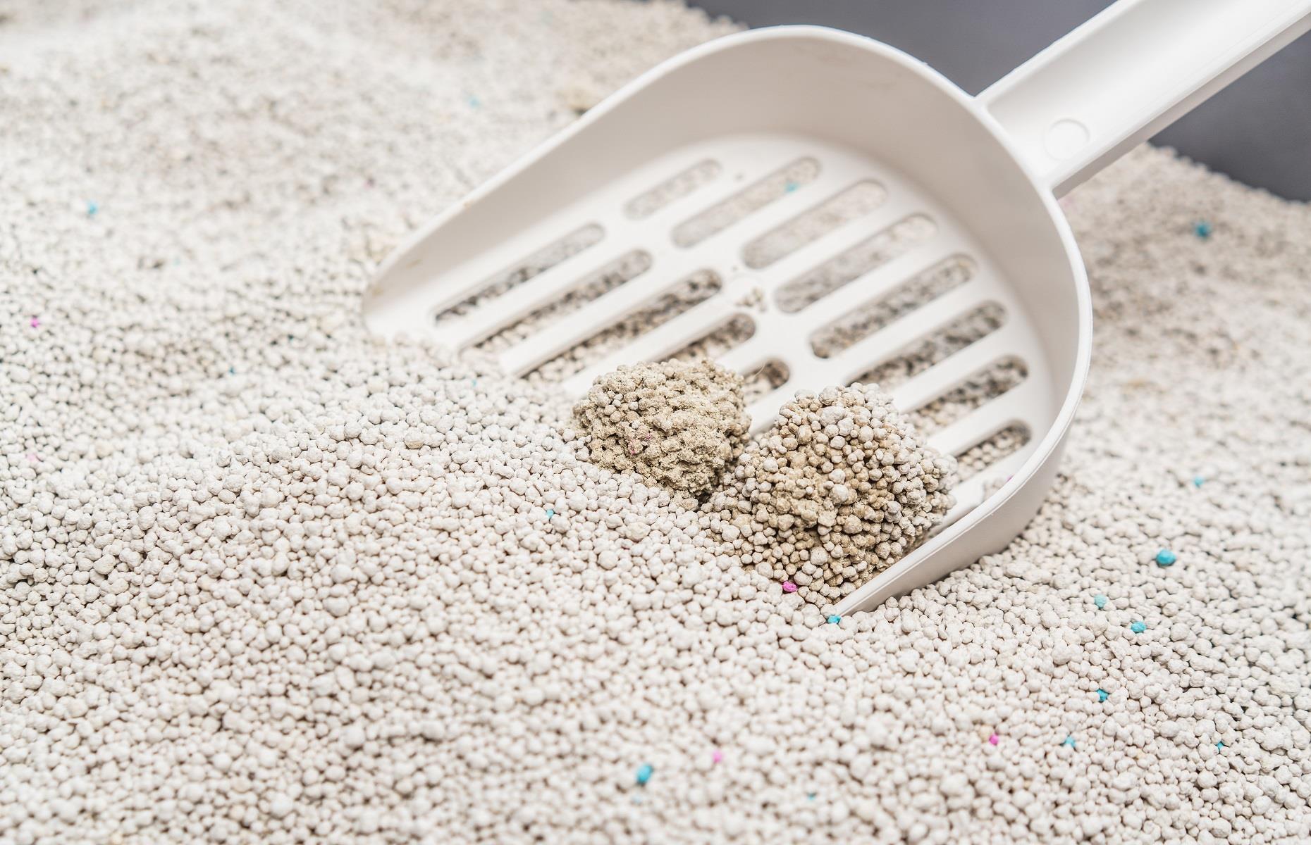 Cat litter