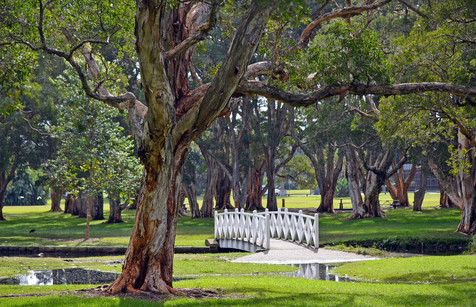 Centennial Parklands, Sydney, New South Wales
