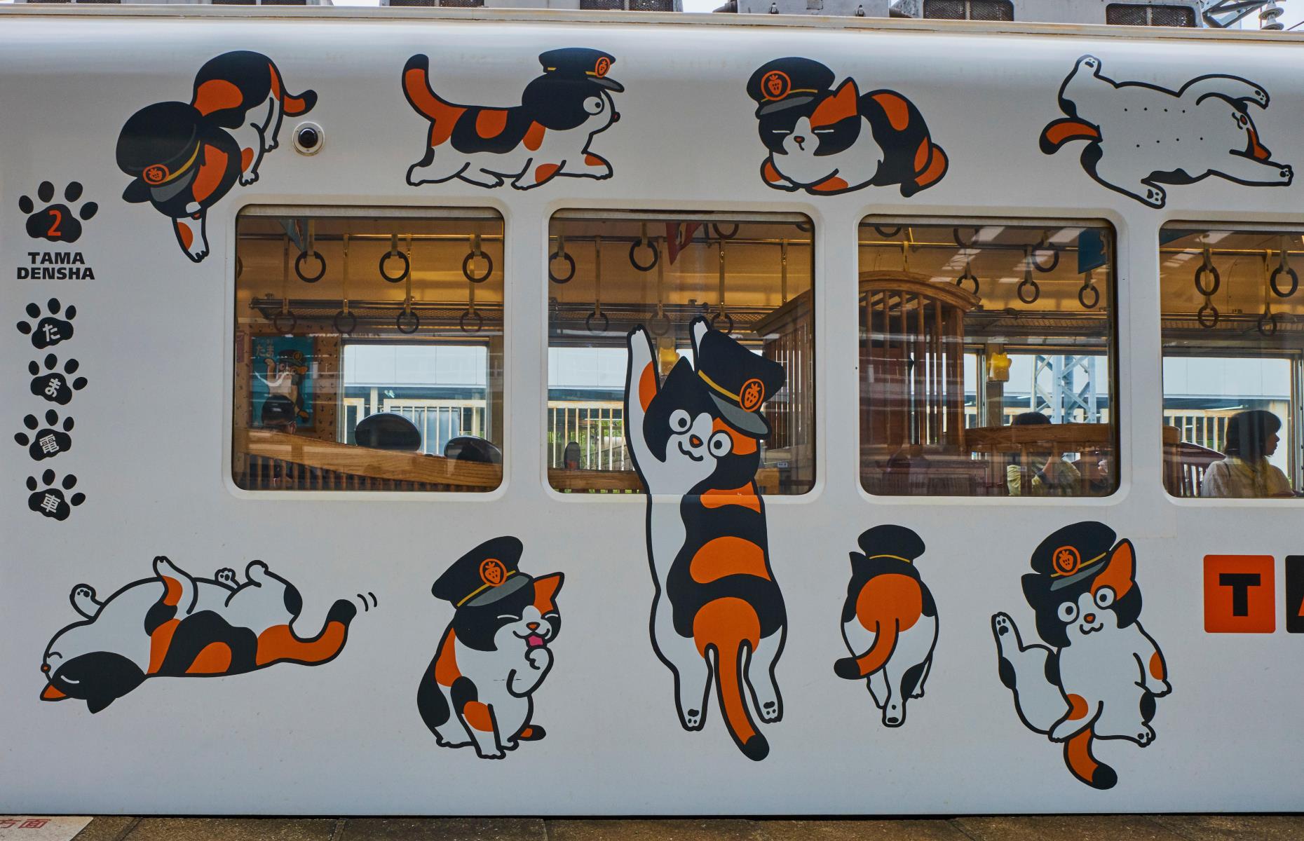 Wakayama Electric Railway, Wakayama Prefecture