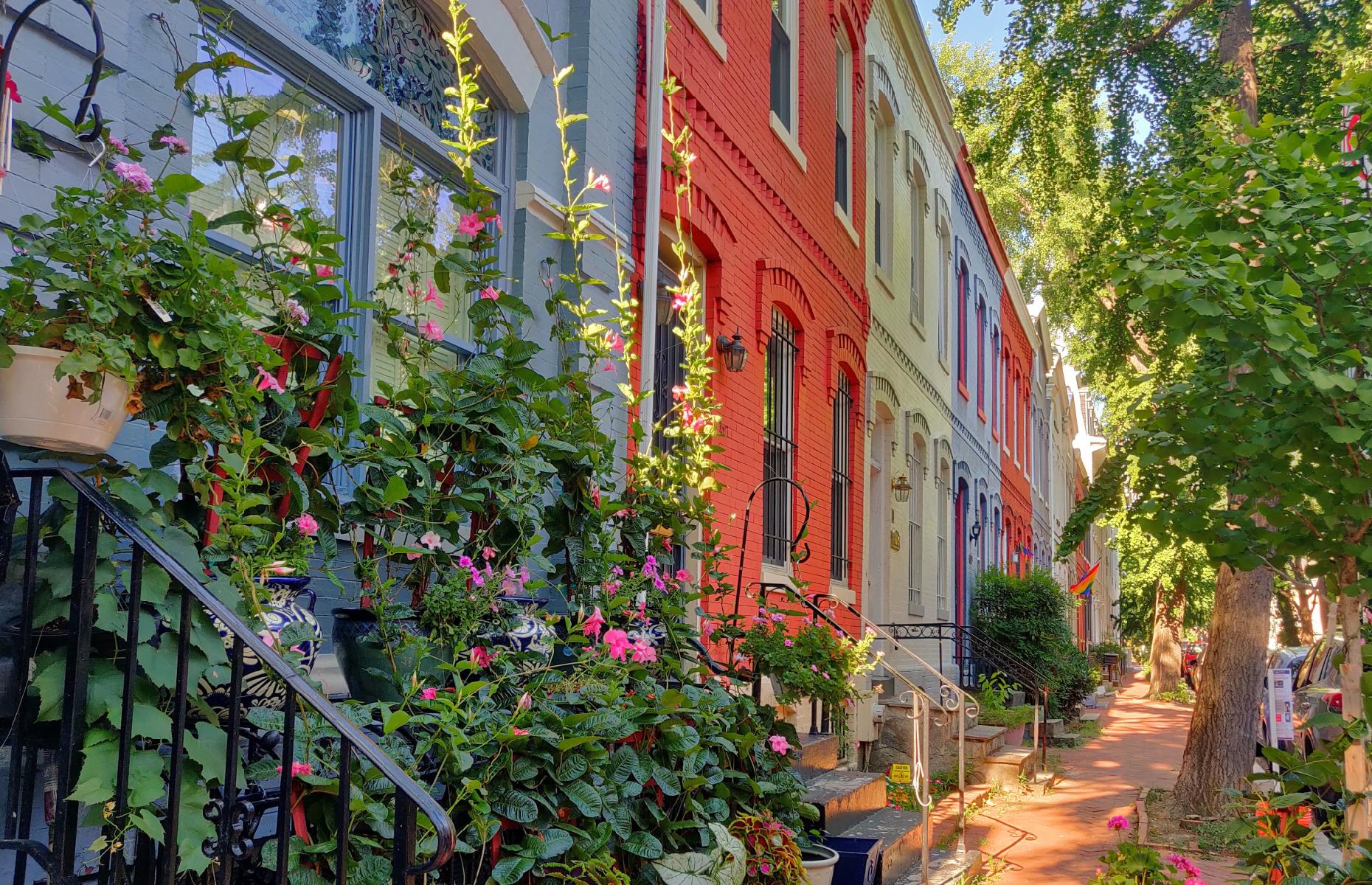 Swann Street, Washington D.C.