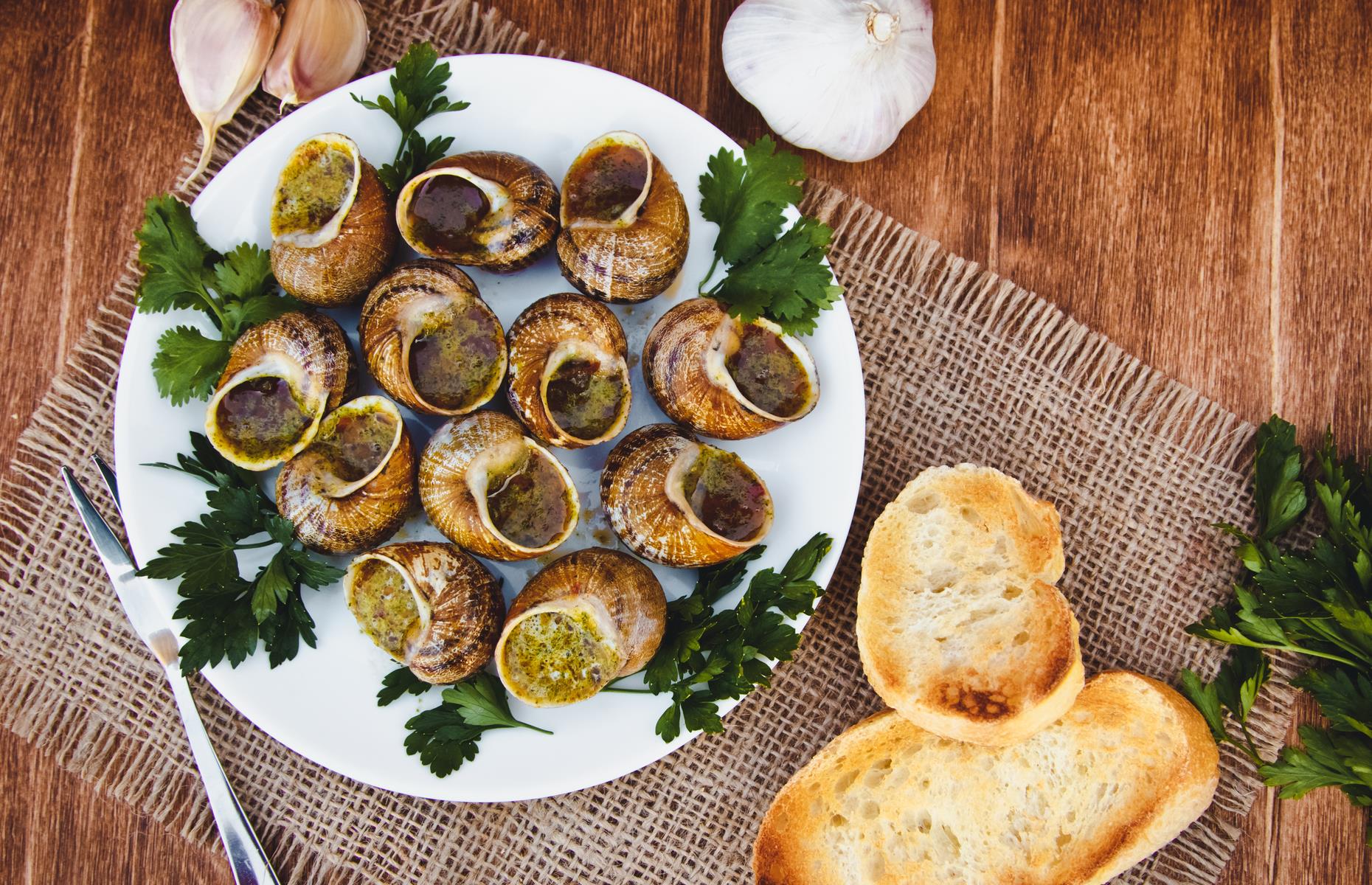 Snails bourguignon