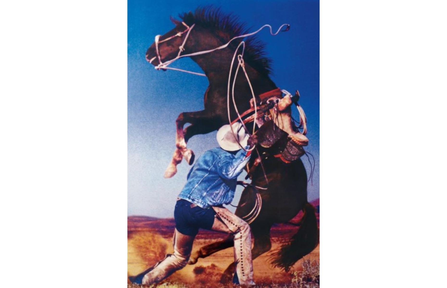 Untitled (Cowboy), Richard Prince: $3.7 million (£2.8m)