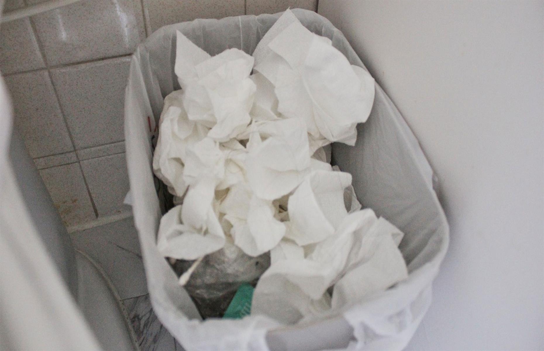 Mask bathroom bin odours 