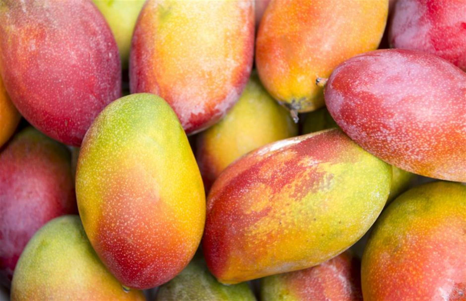 Mangos