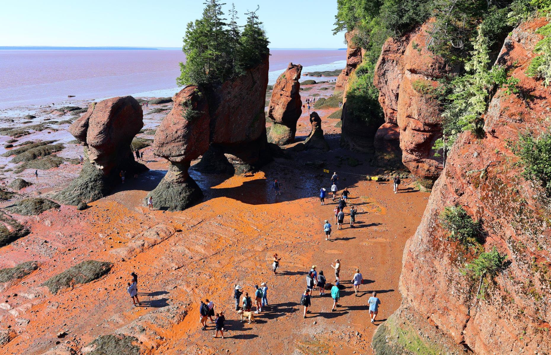The Bay of Fundy has the highest tides in the world