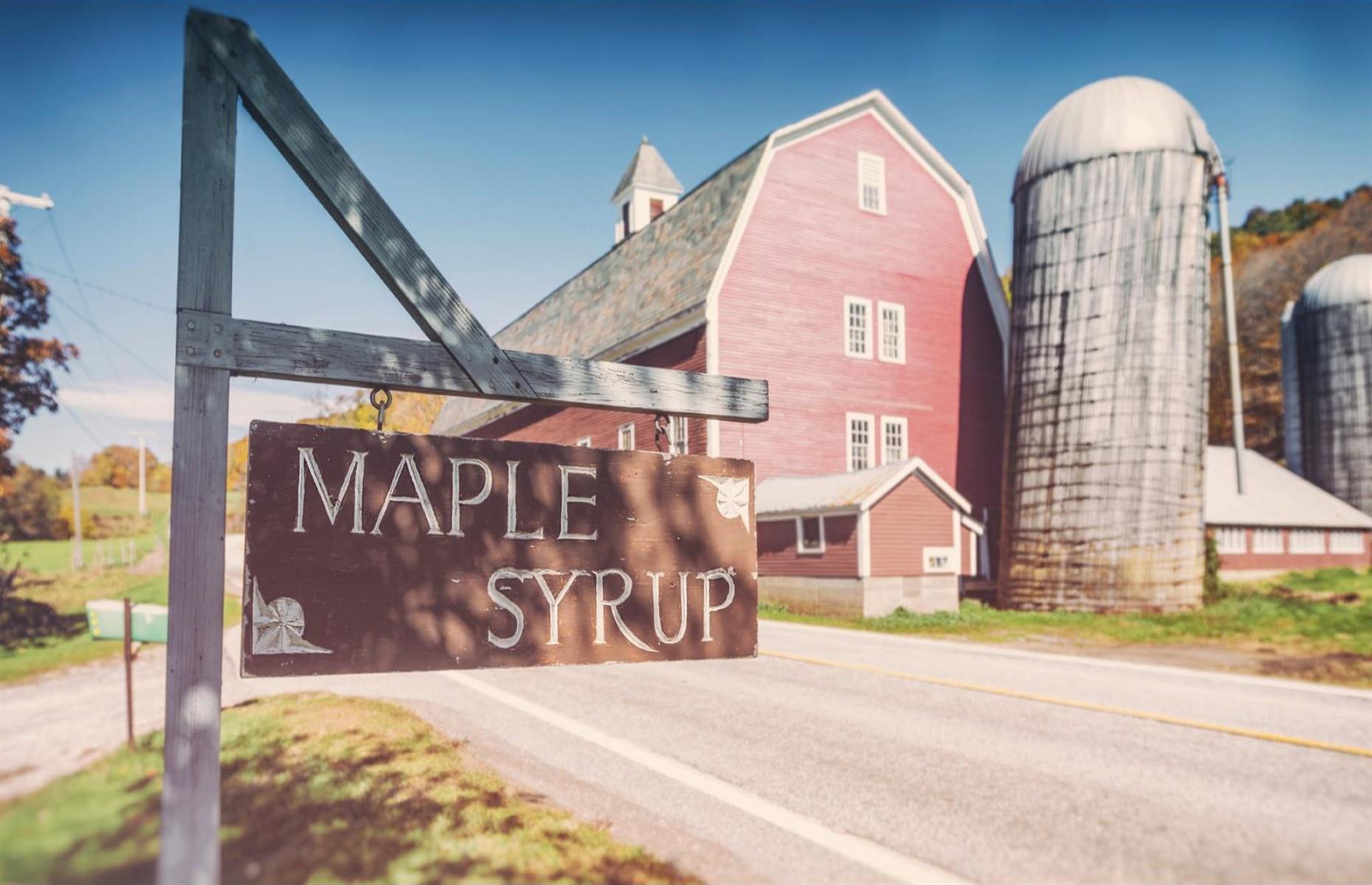 Vermont: visit a maple syrup farm