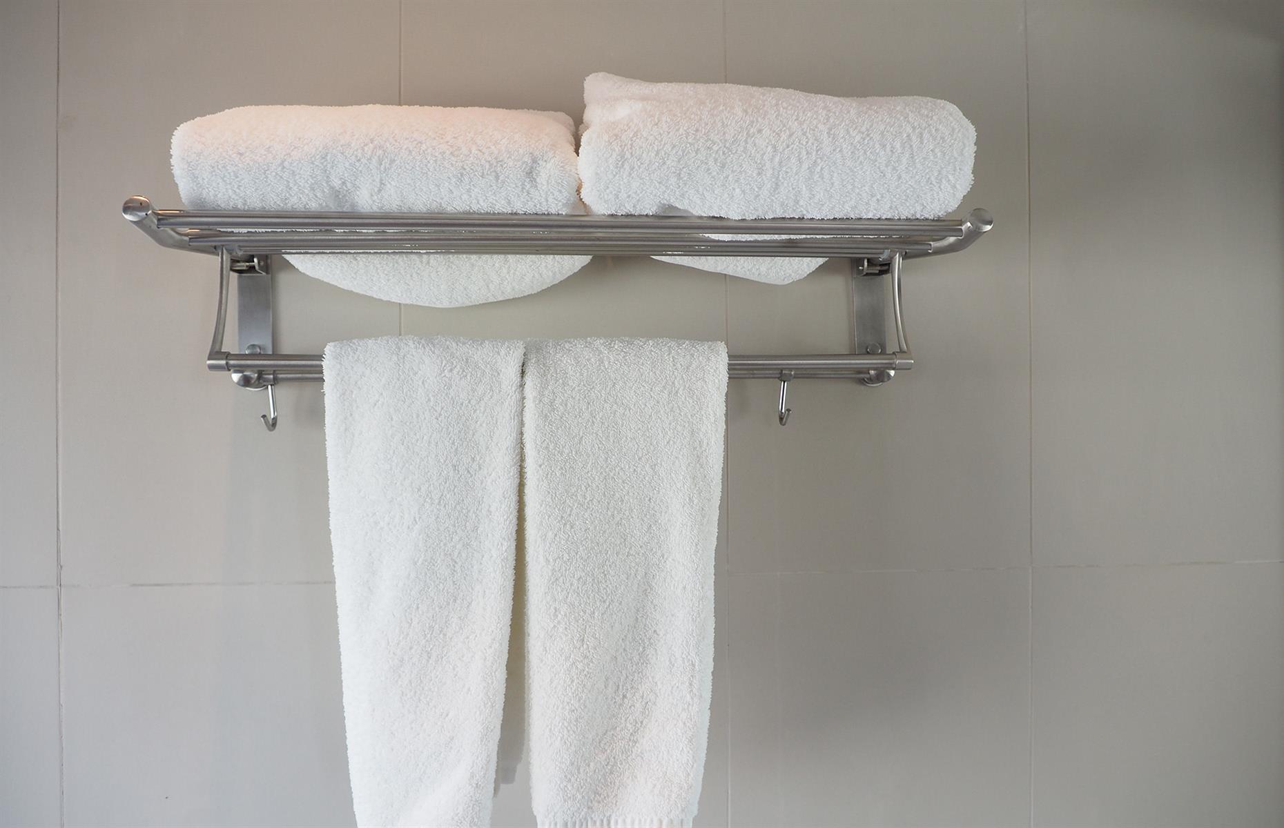Mount a bathroom rail