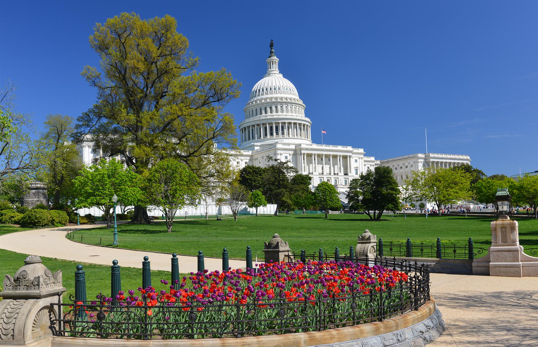 Какая столица америки как называется. Столица США-Вашингтон, округ Колумбия.. Белый дом и Капитолий в Вашингтоне Вашингтон столица США. Вашингтон штат Колумбия. Вашингтон ДС штат.