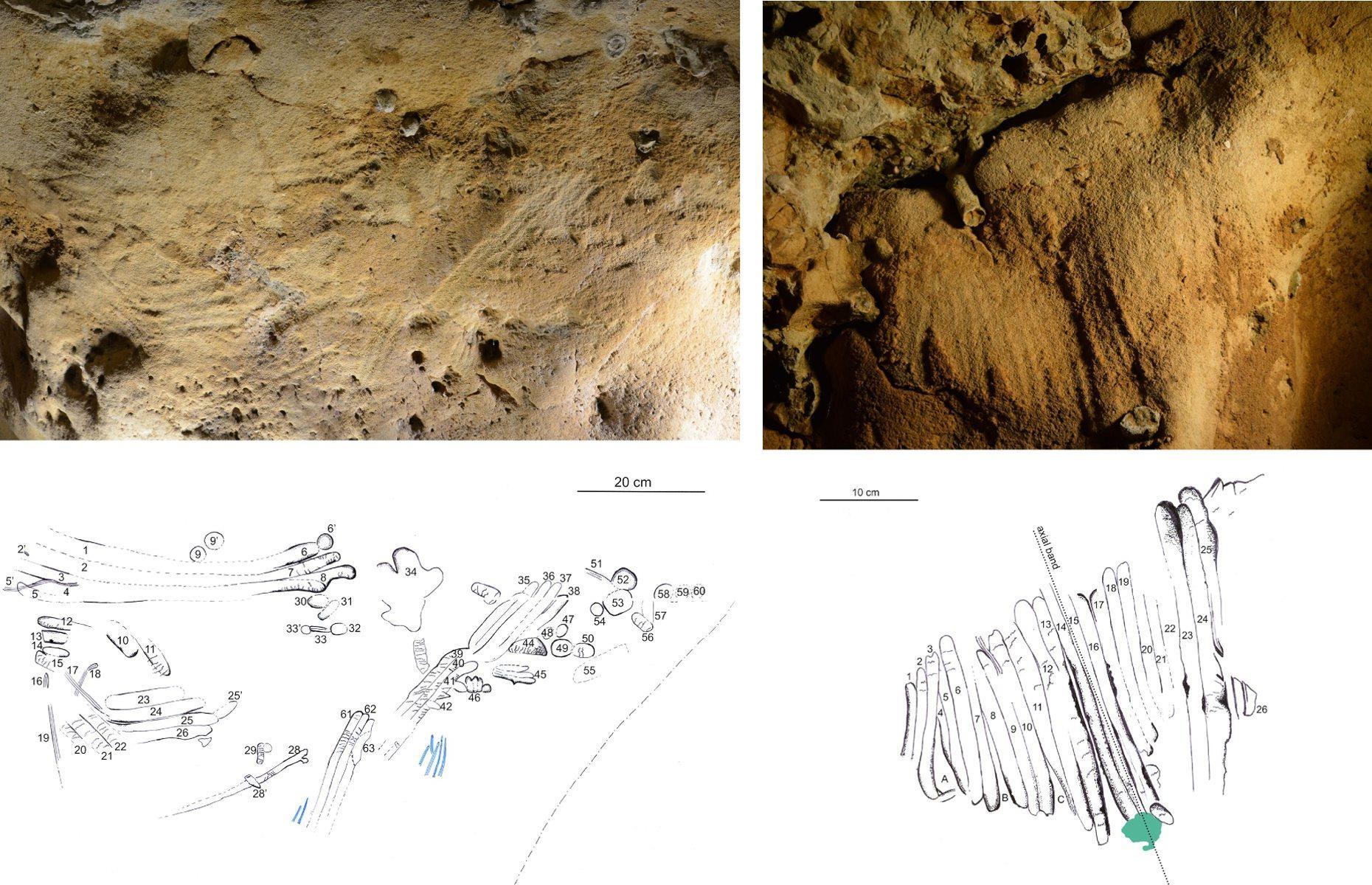 Europe’s oldest known intentional cave engravings, France