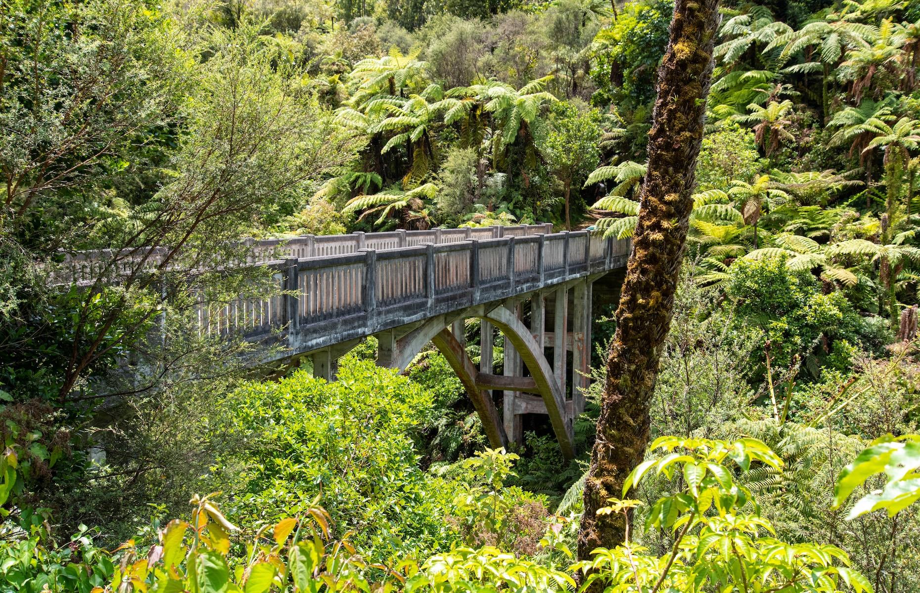 Bridge to Nowhere, Mangapurua Valley