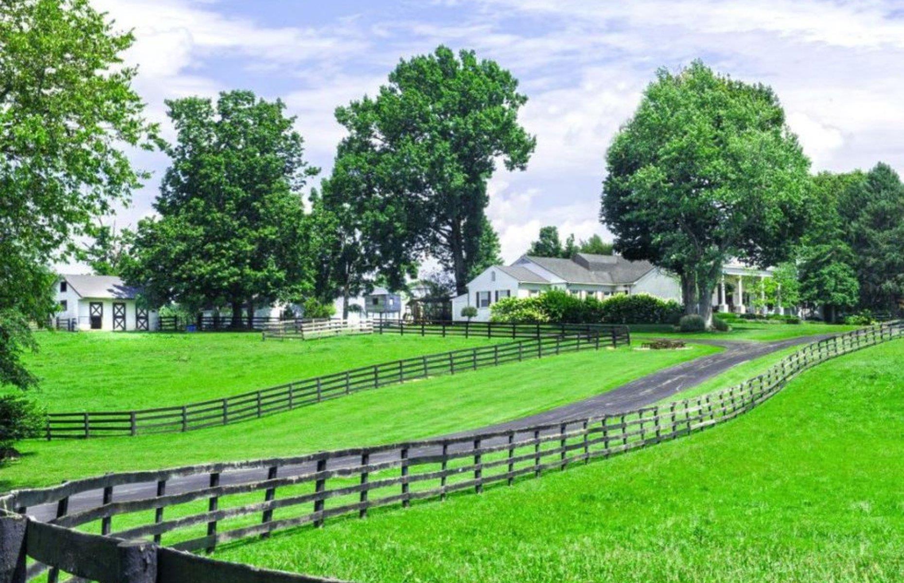 The Kentucky horse farm