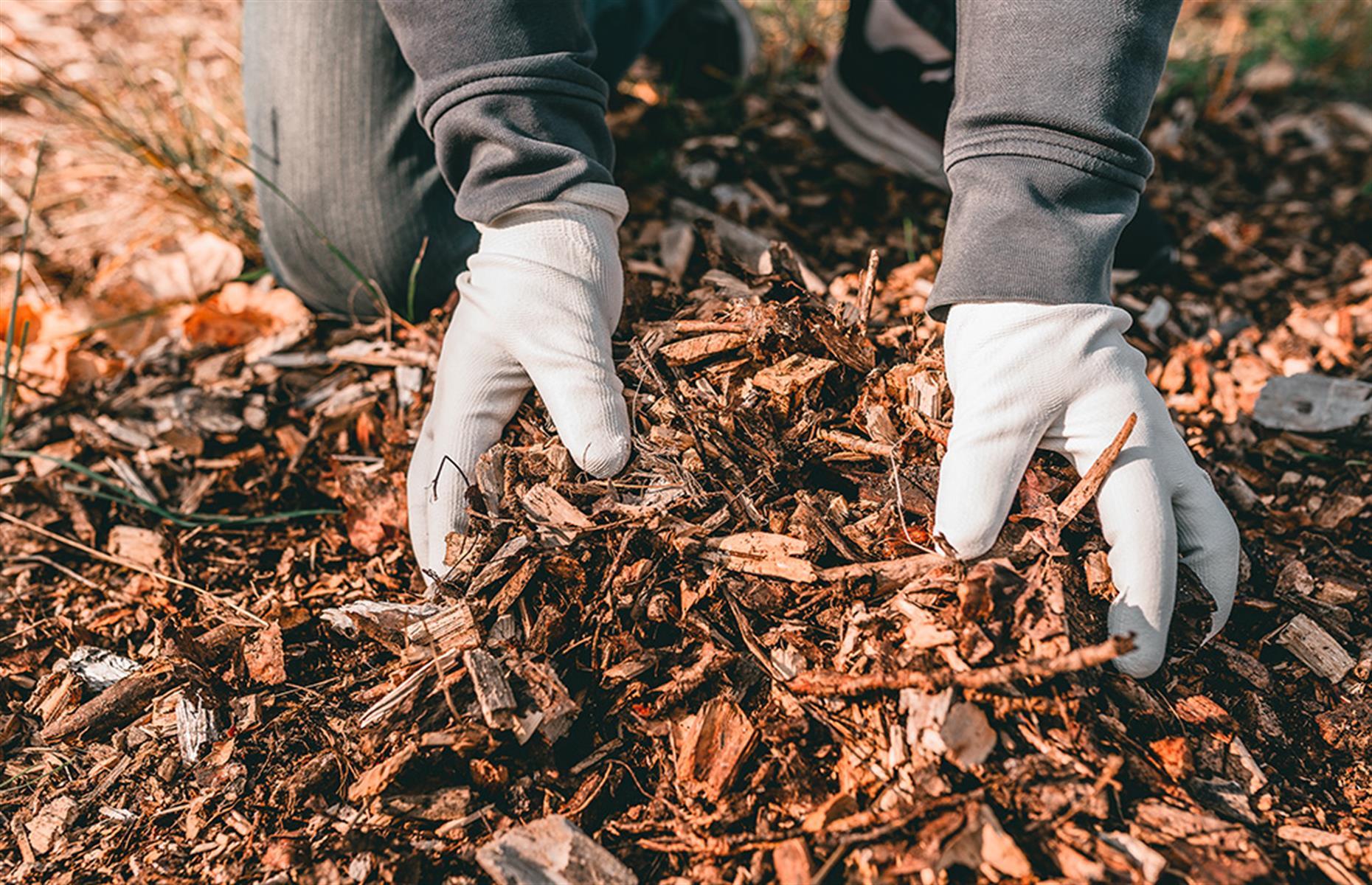 Lay mulch